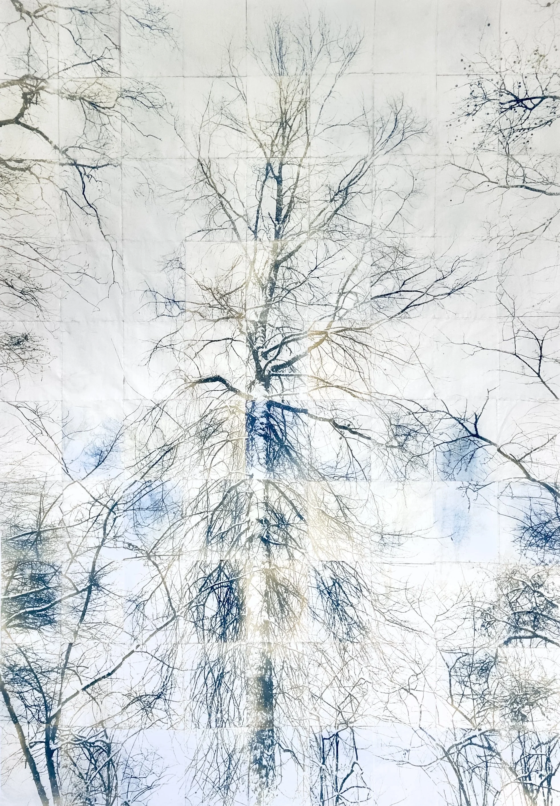 Walkingscapes 2024-Present