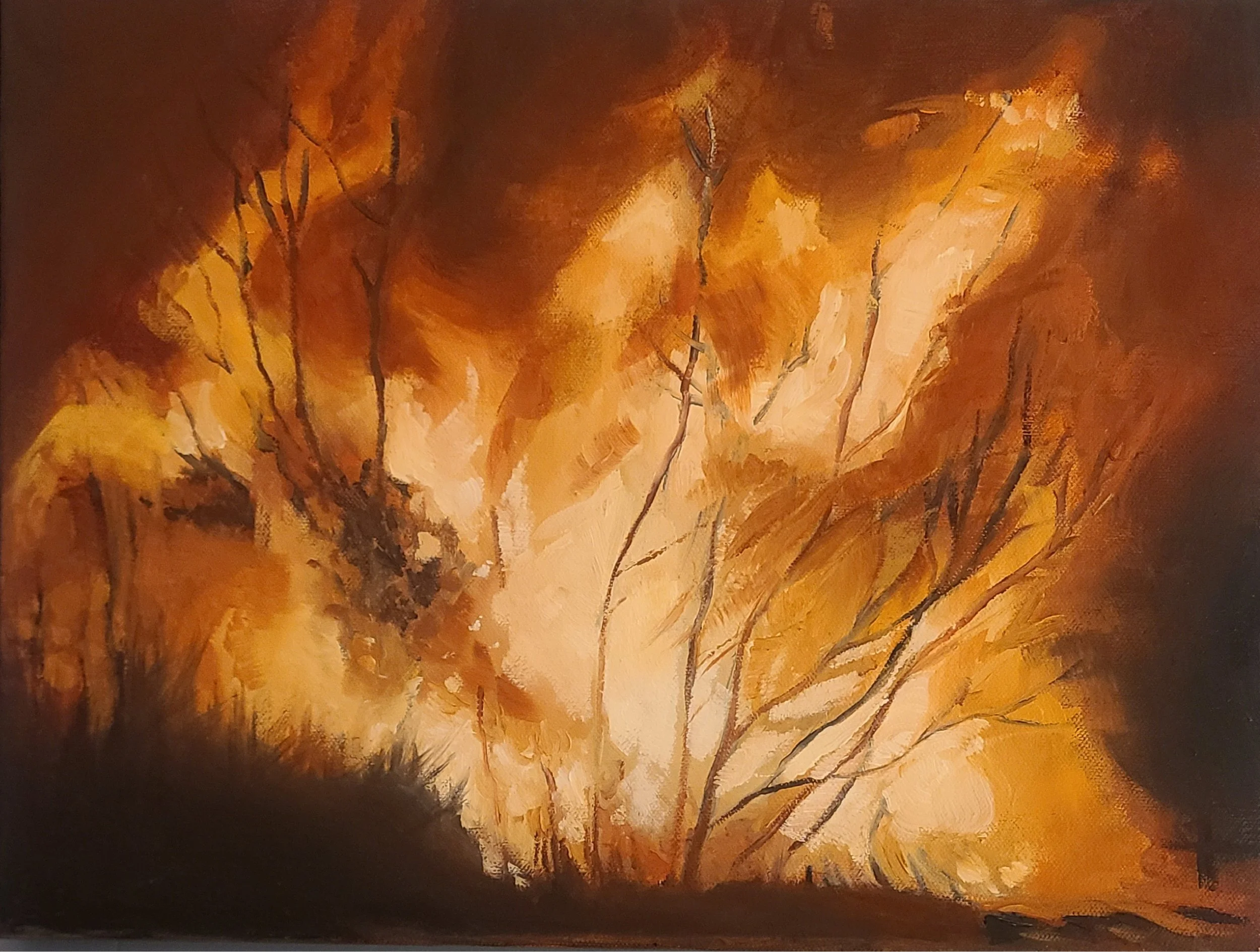 Fire #6 - 2025