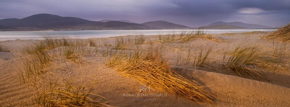Sandy Luskentyre beach with with Harris Hills under cloudy sky, patches of beach grass growing in the sand.