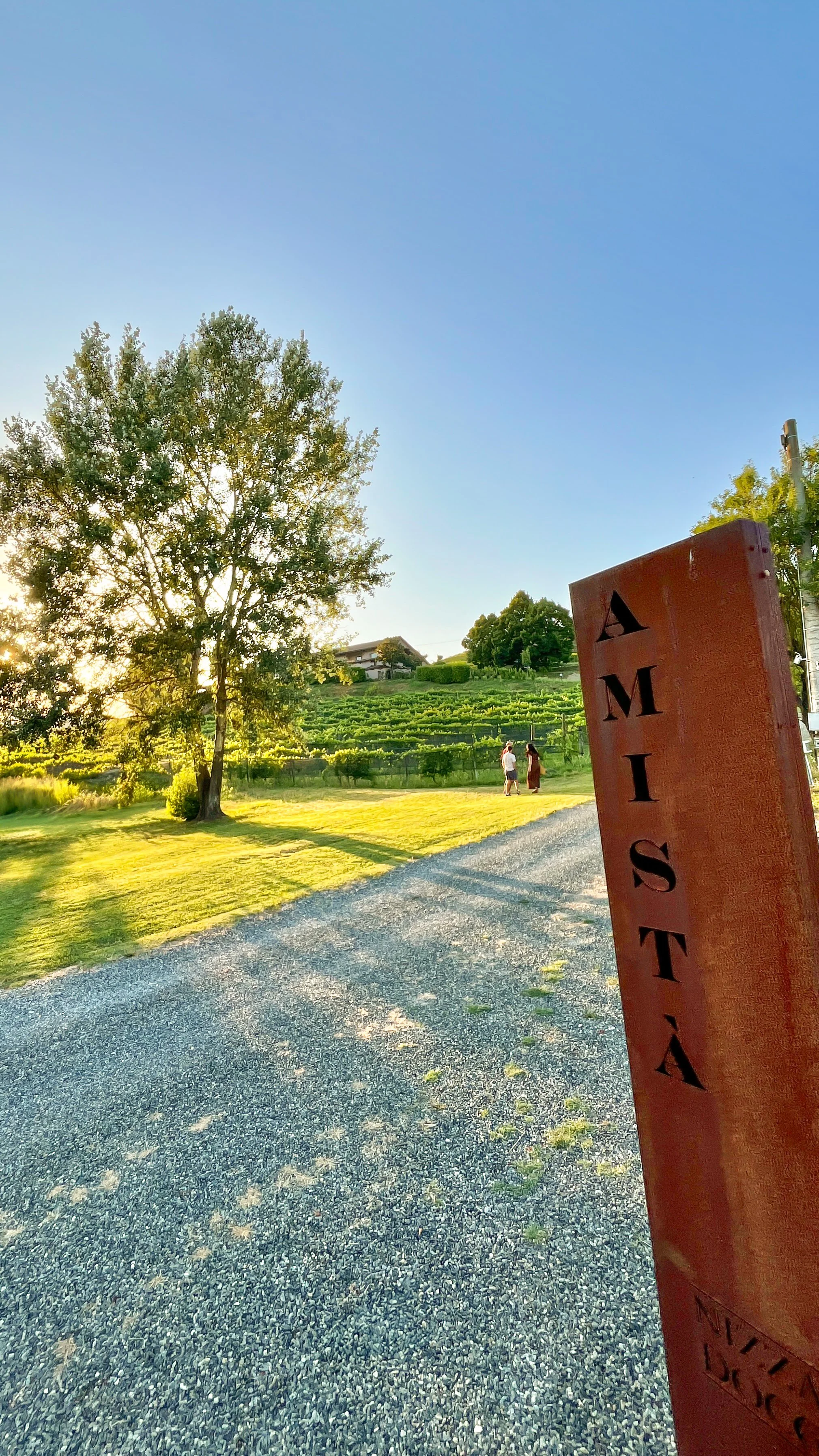 Photo 23.06.2025, 20 15 42.jpg