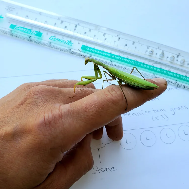 Harcourt & Co. Painting photo 6