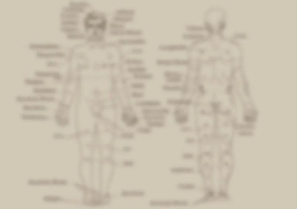 Marma Therapy — Ayurveda Health Retreat