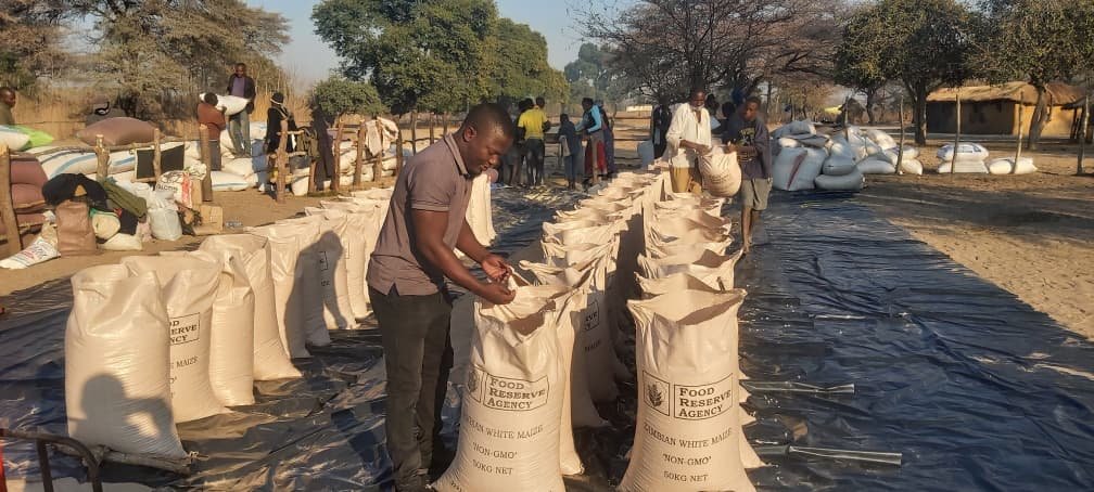 Zambia's FRA Records Historic 1.6 Million Metric Tonne Maize Purchase