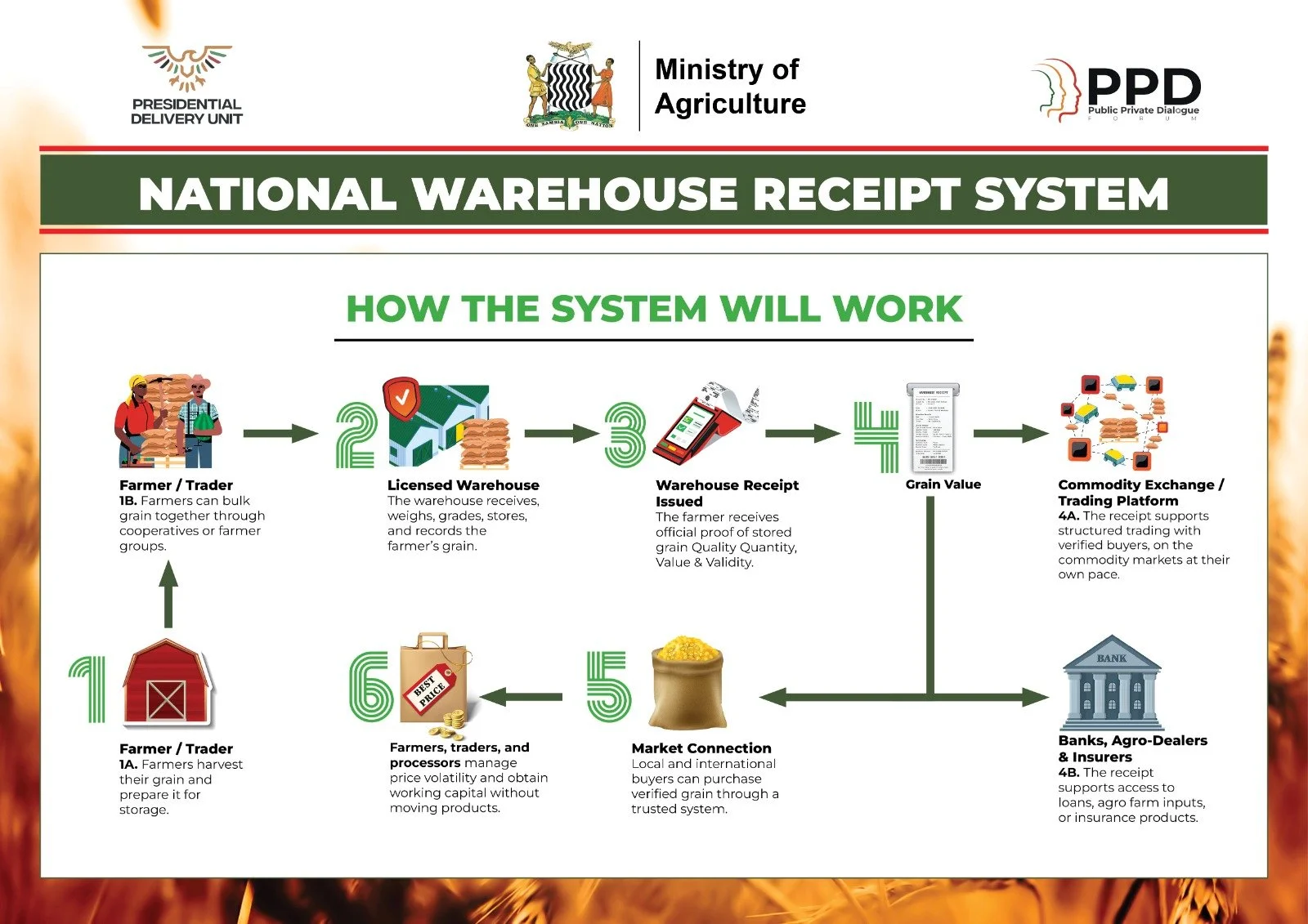 Beyond the Bumper Harvest: The Reforms Transforming Zambia's Agriculture