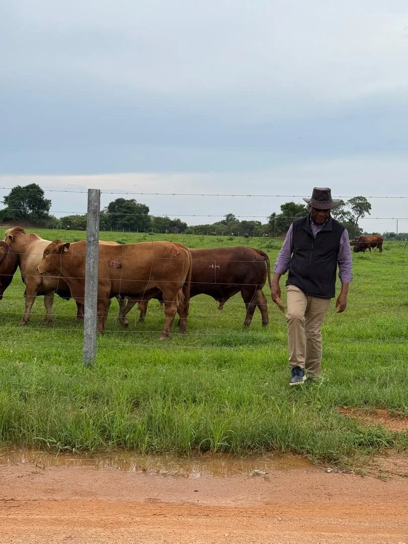 #P1 #HAPPY #WALKING #CHOMAFARM #SOUTHERNPROVINCE #JANUARY #2026 #ZAMBIA.1..jpeg