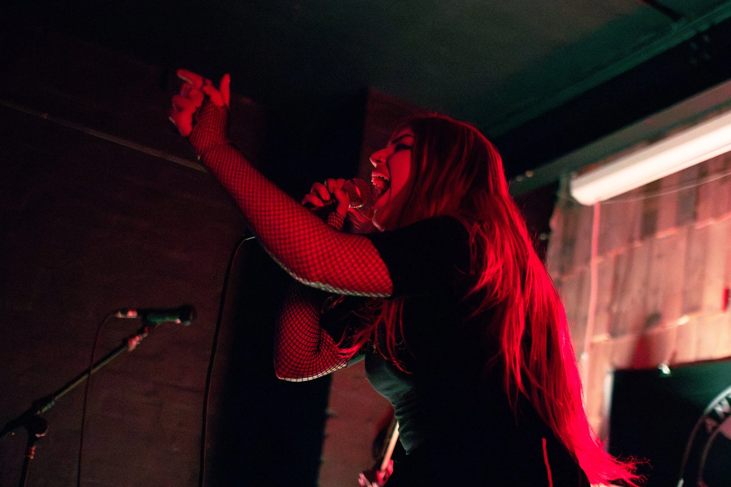 cherry dead -02.jpg