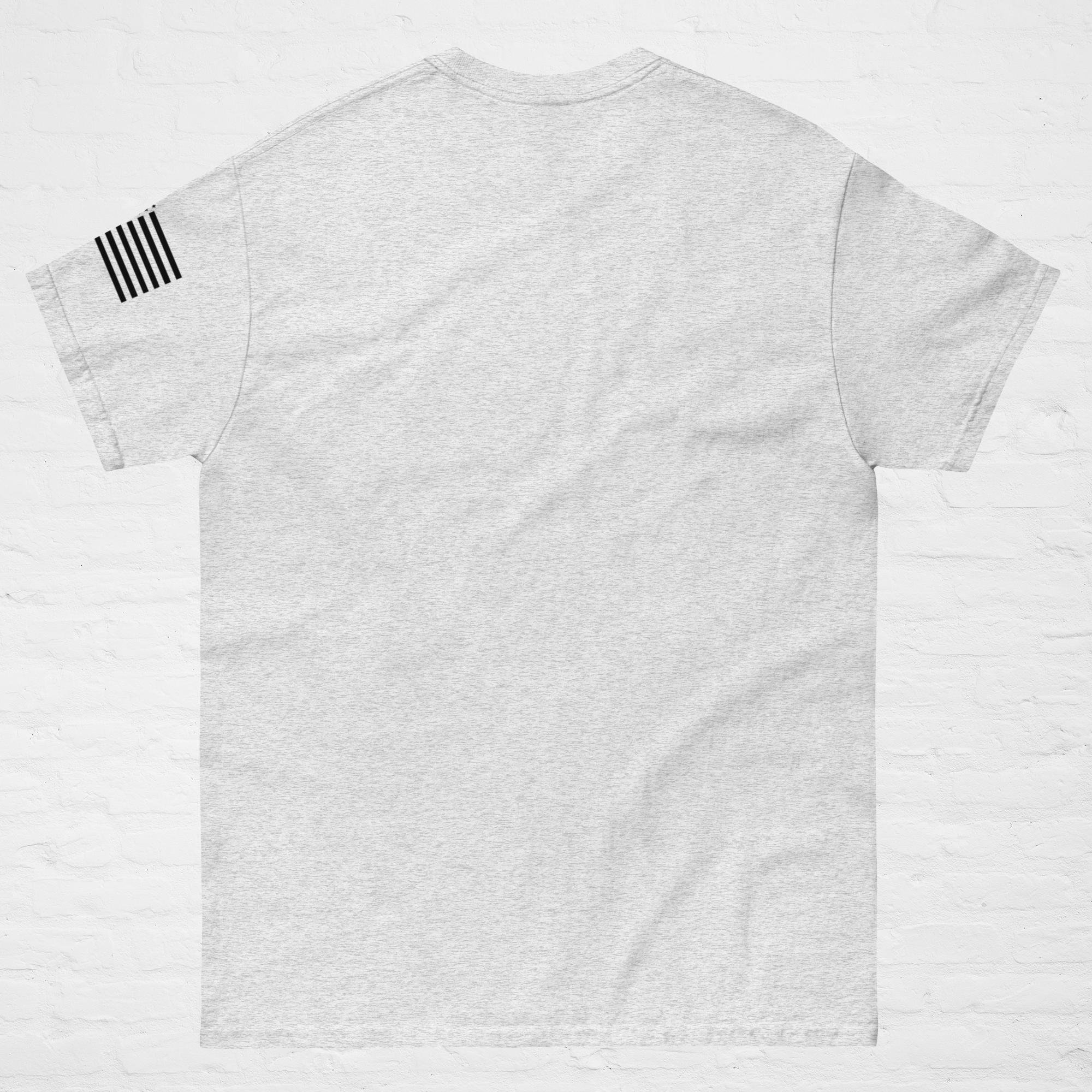 unisex-classic-tee-ash-back-66eb88aa927d2.jpg