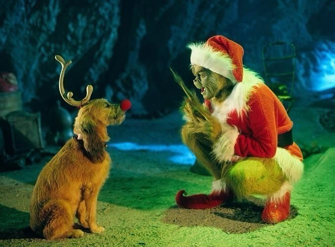 In the 2000 film How the Grinch Stole Christmas, the Grinch&rsquo;s canine sidekick, Max, was actually played by six different shelter dogs. All of the dogs wore lightweight headpieces with long ears for continuity. 🥰