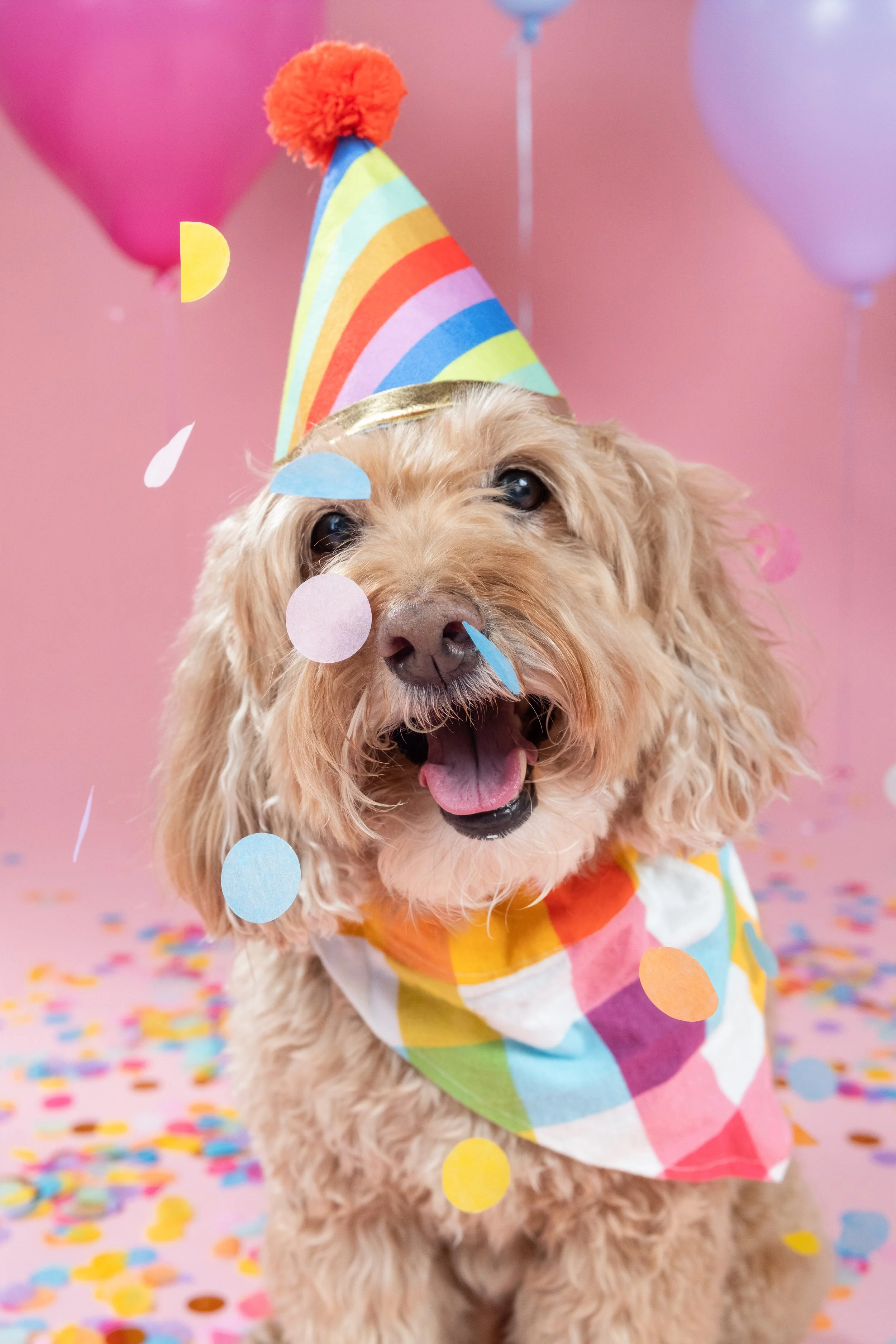 ernie bday-.jpg