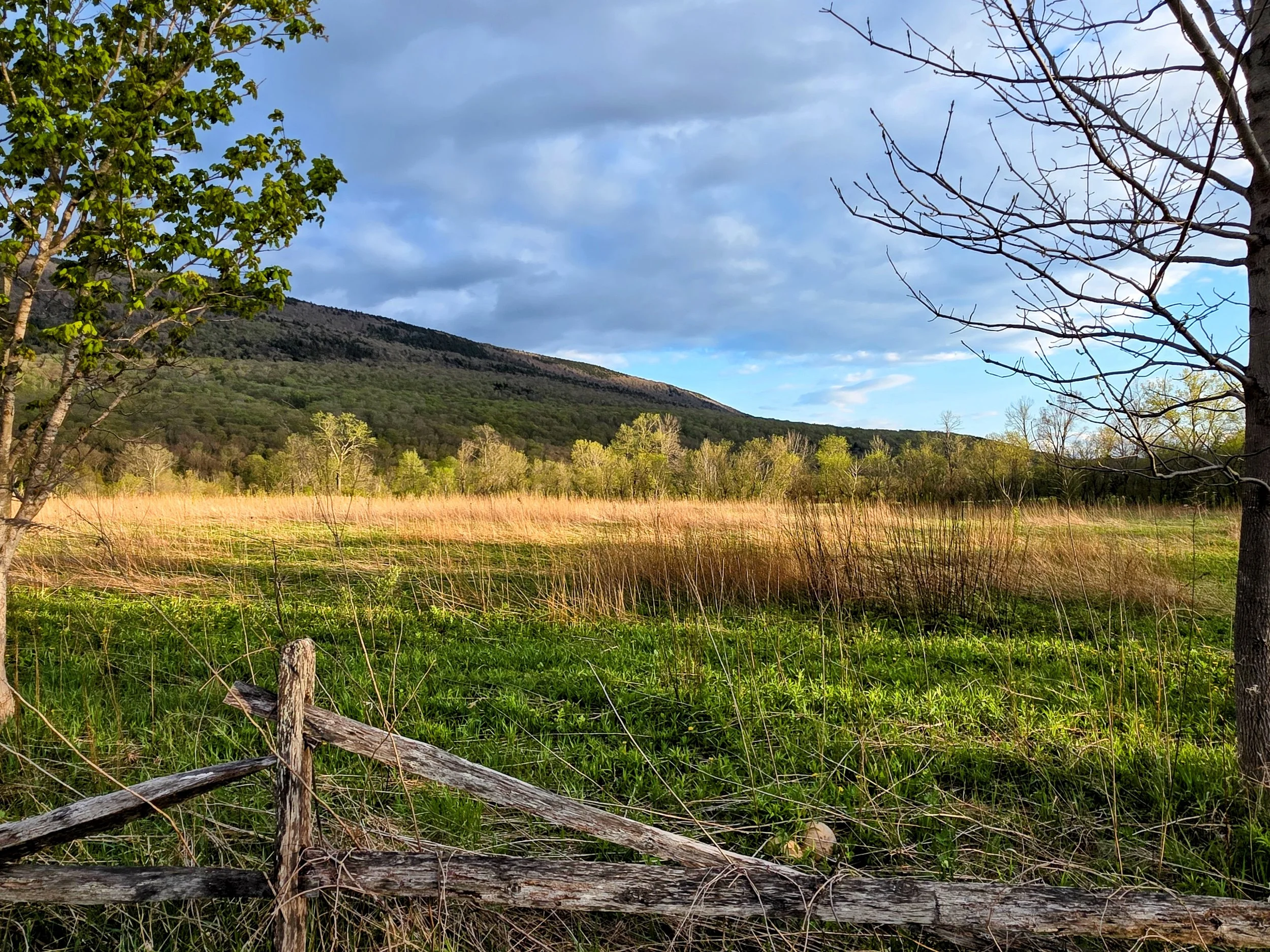 Sunderland, VT 2026