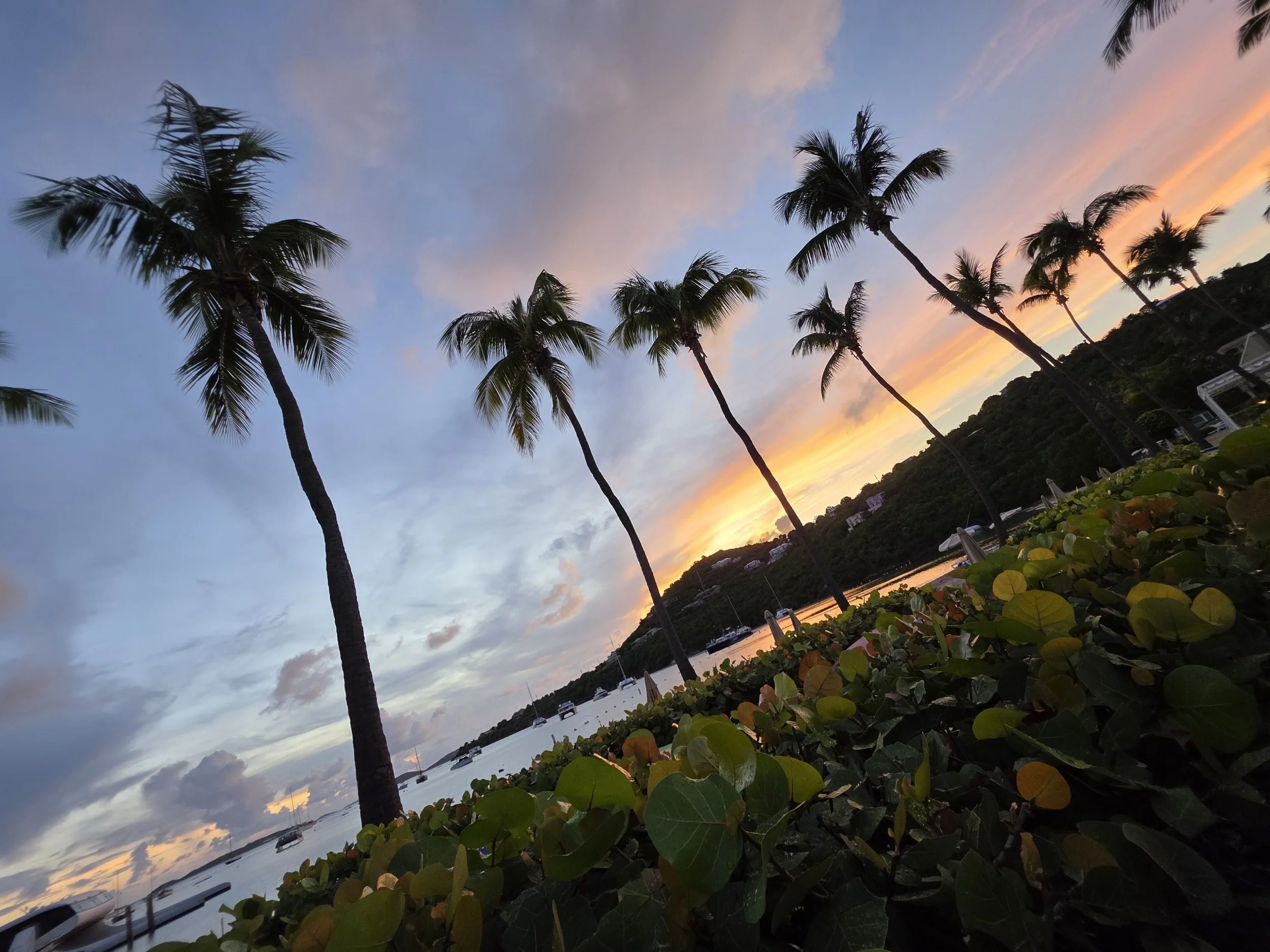 Cruz Bay, St. John USVI, 2025