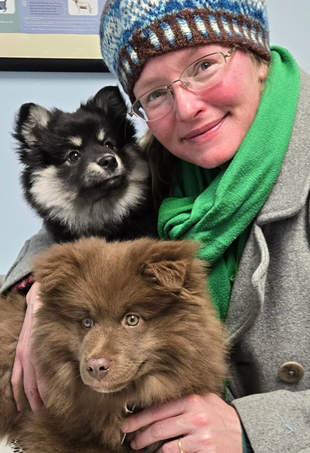 First Vet visit, November 2025