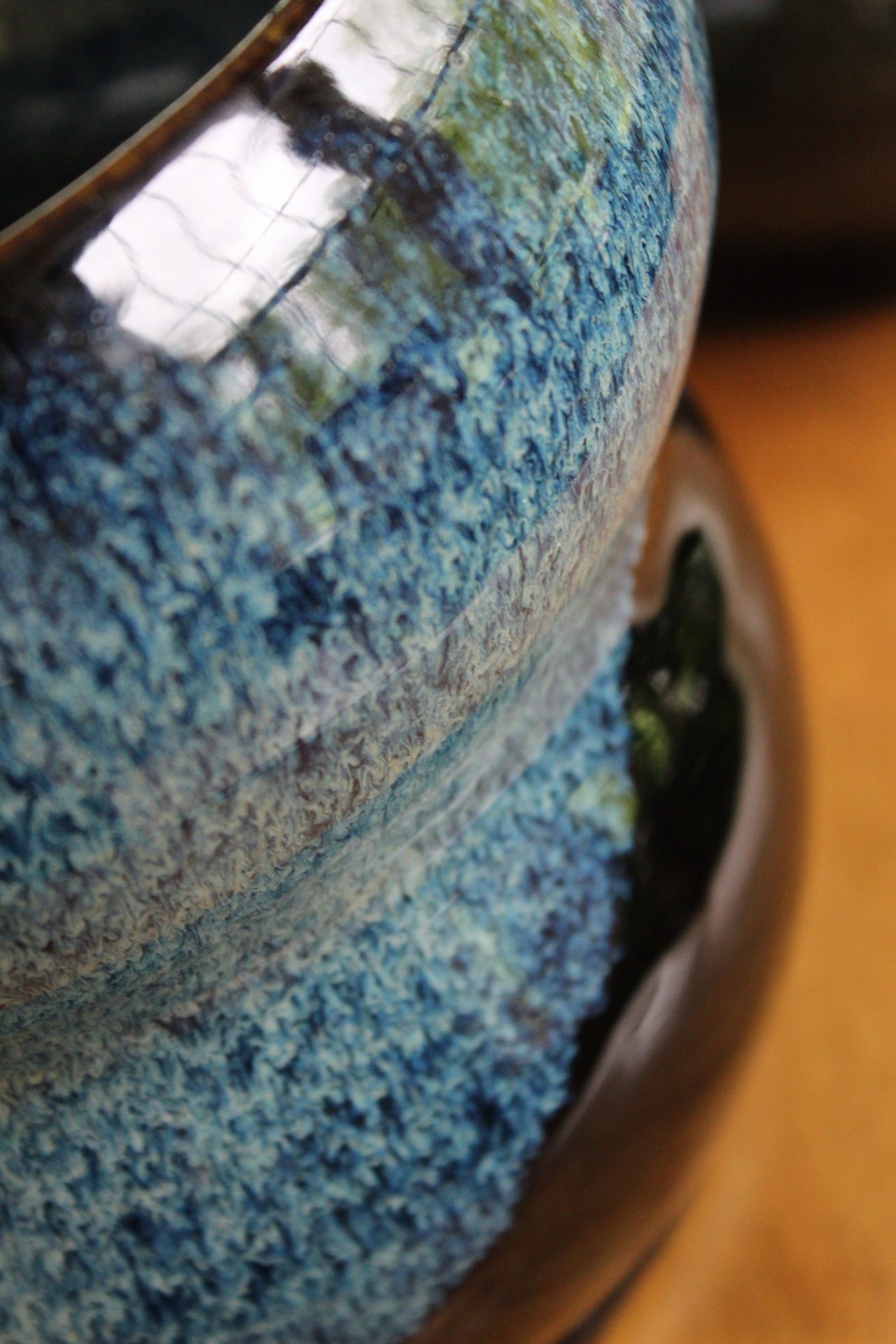 Variegated blue licorice, 2025. Photography by Rakaia Kenney.
