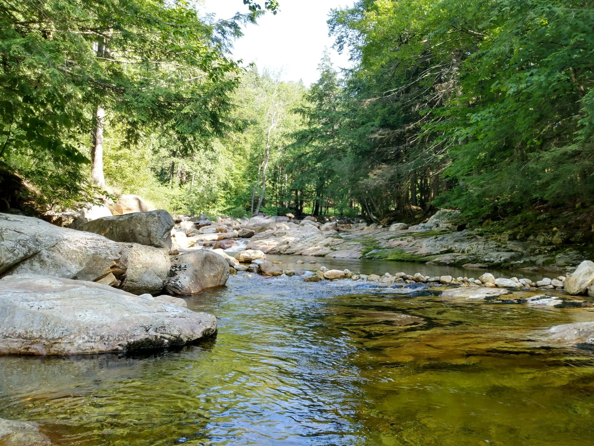 Roaring Branch River, Sunderland, VT 2025