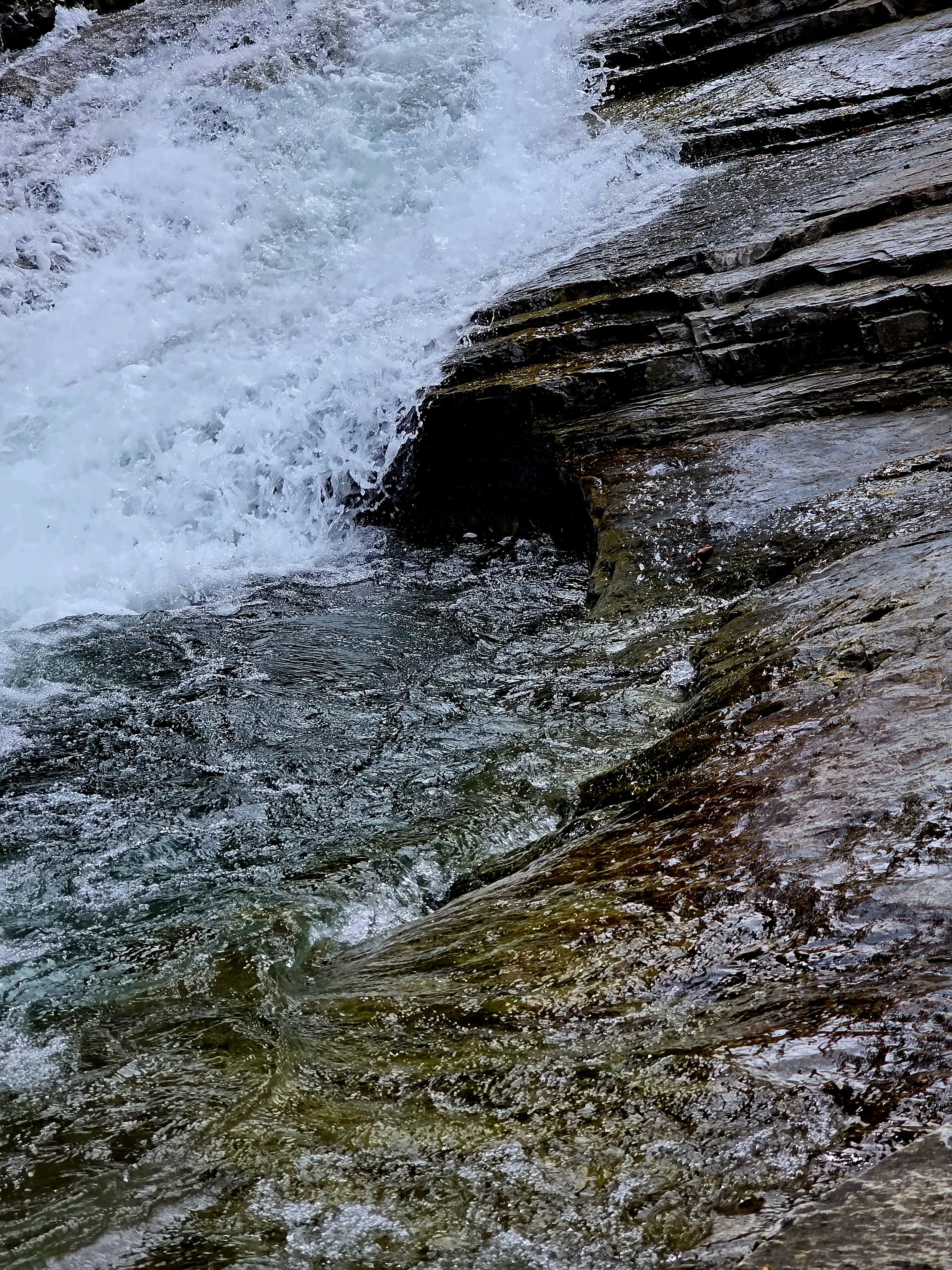 Hidden watering hole, 2026