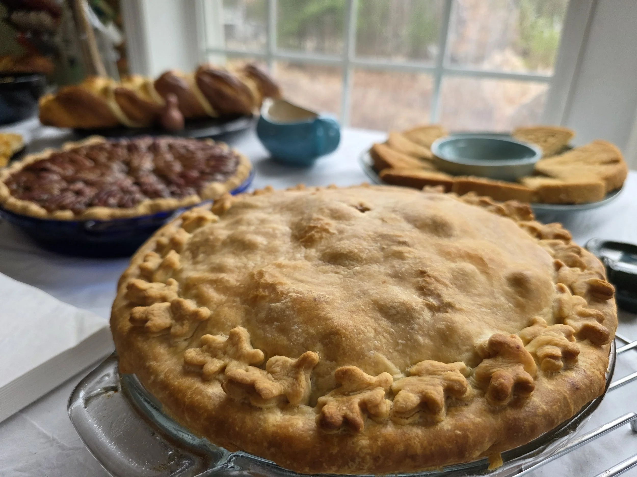 Apple and Pecan pies, Thanksgiving, 2025