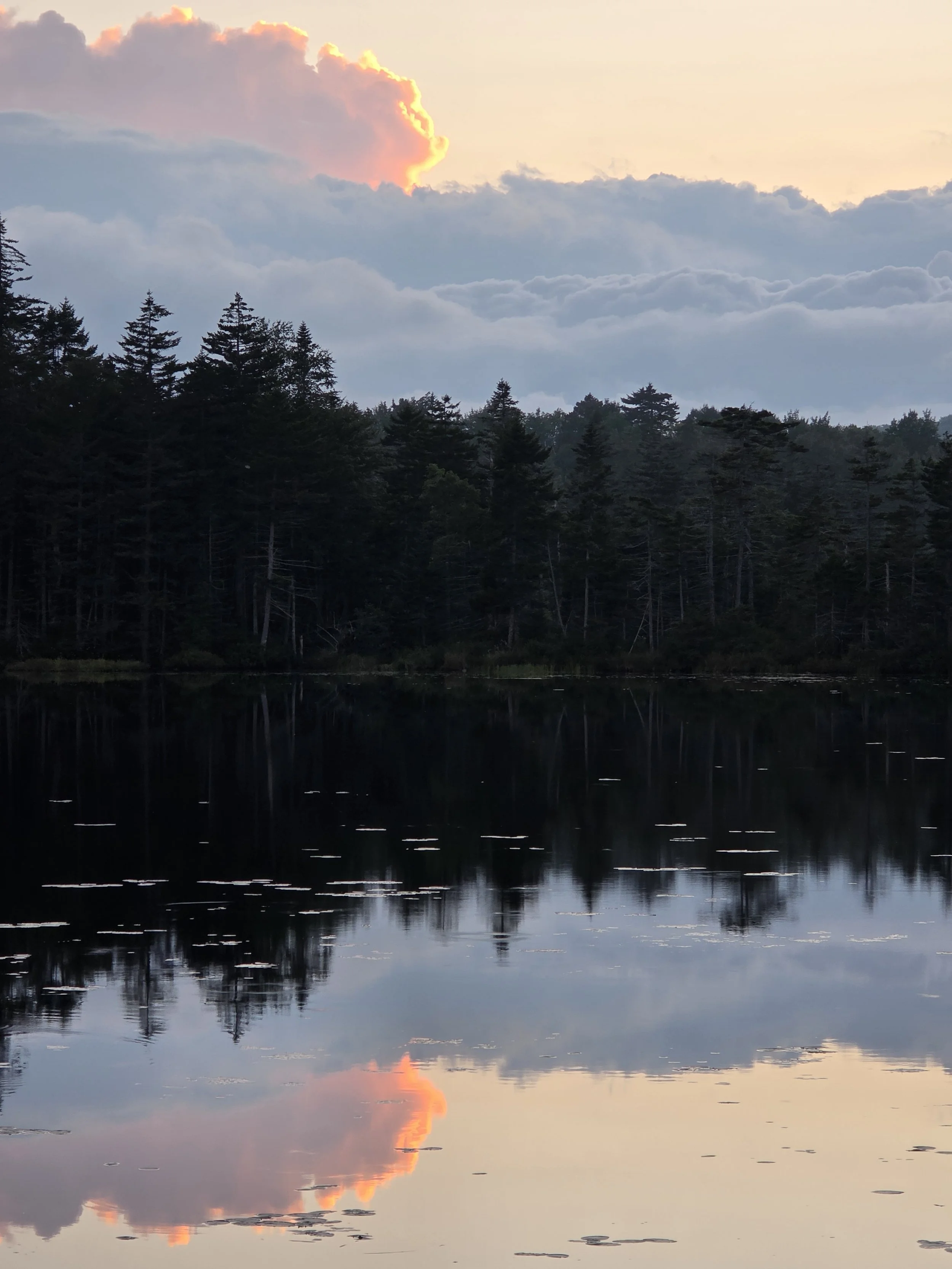 Branch Pond, Sunderland, VT, 2026