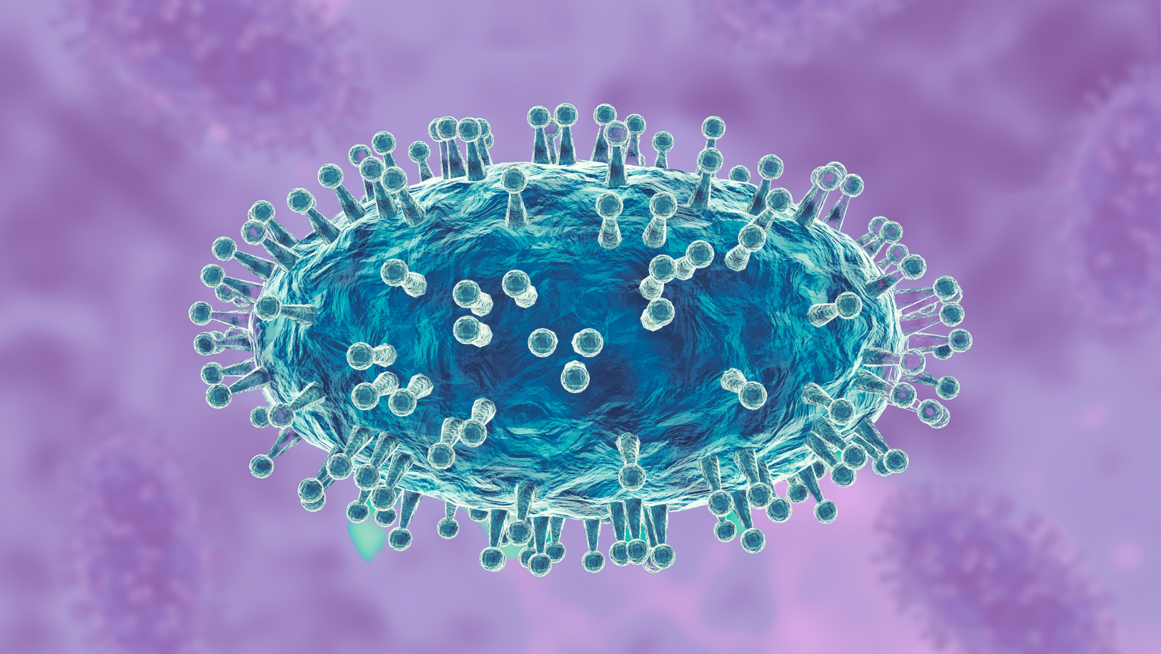 smallpox.png