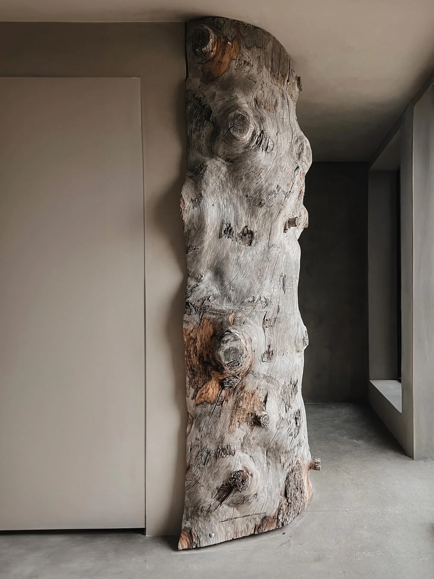 A large, weathered piece of driftwood or natural wood with a unique, contoured shape, placed upright against a wall in a modern, minimalist interior space.