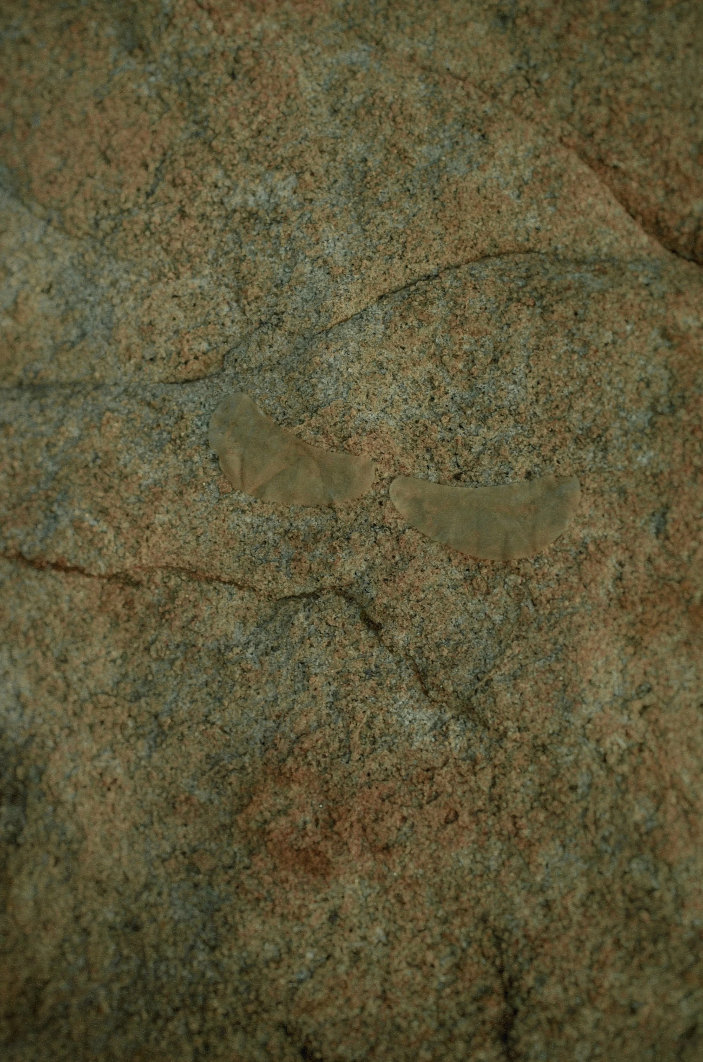 under eye patches alberta canada