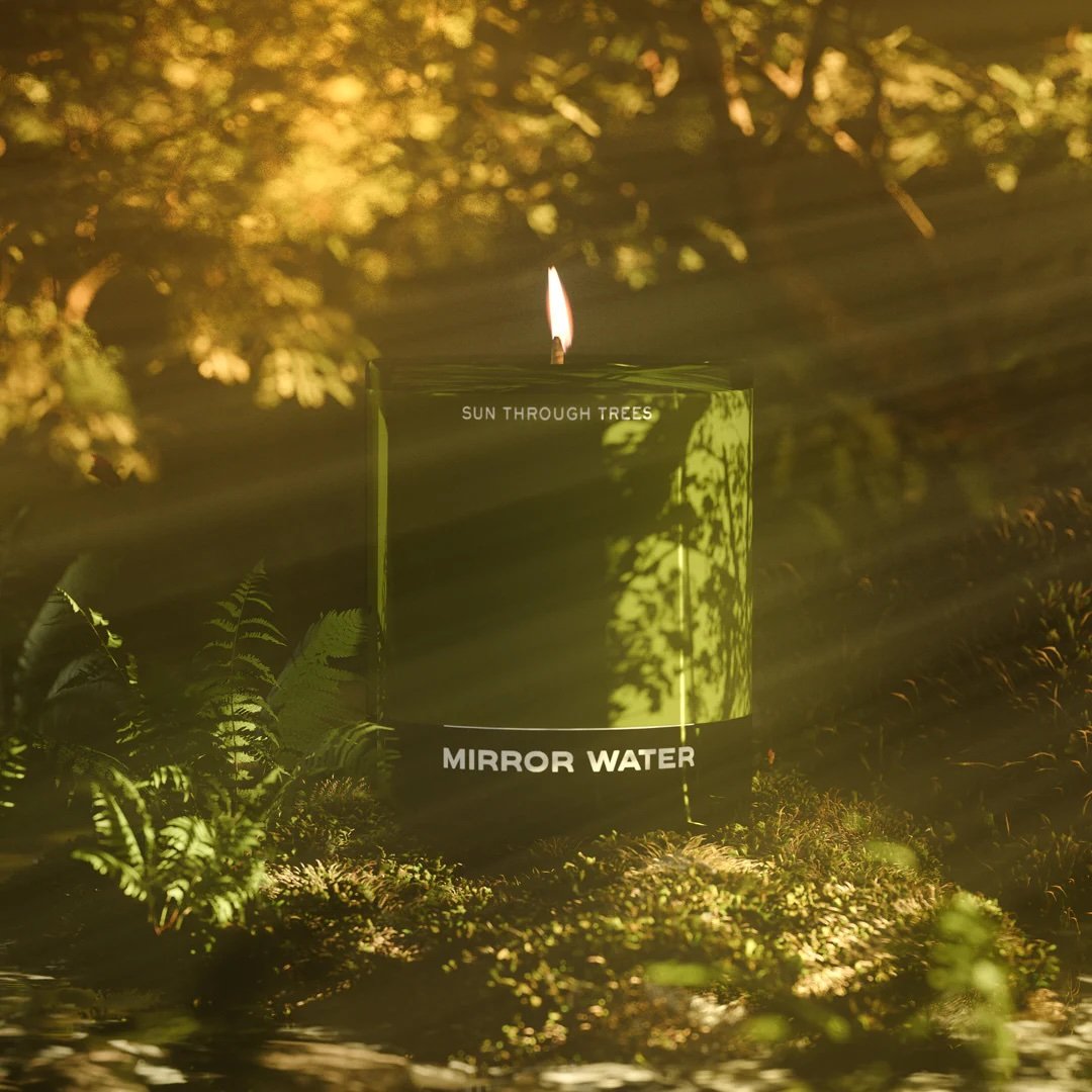 Sun Through Trees.jpeg