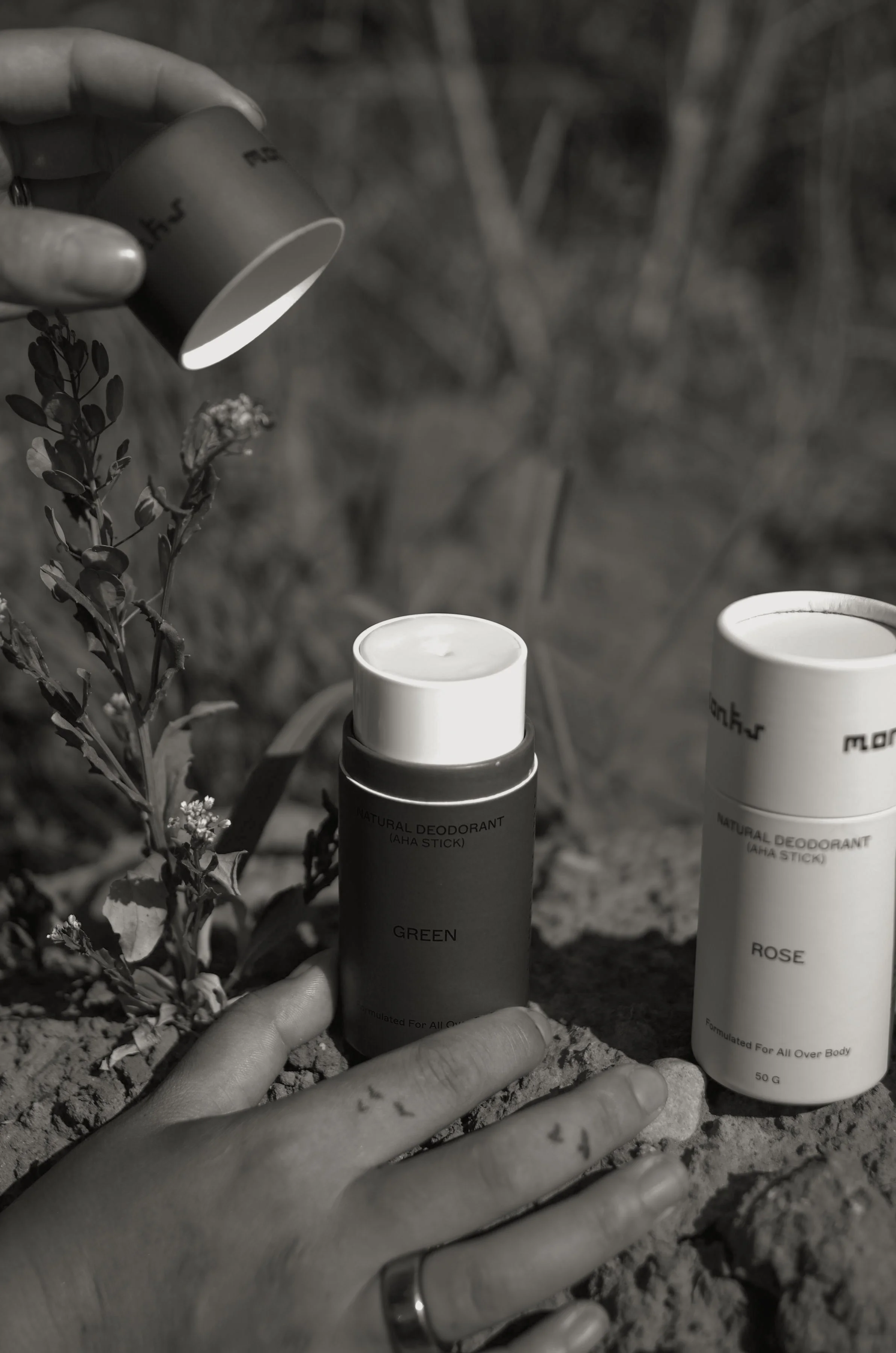 Black-and-white photo of hands holding open Monks Natural Deodorant Stick in Green and Rose scents amid dirt and wild plants.