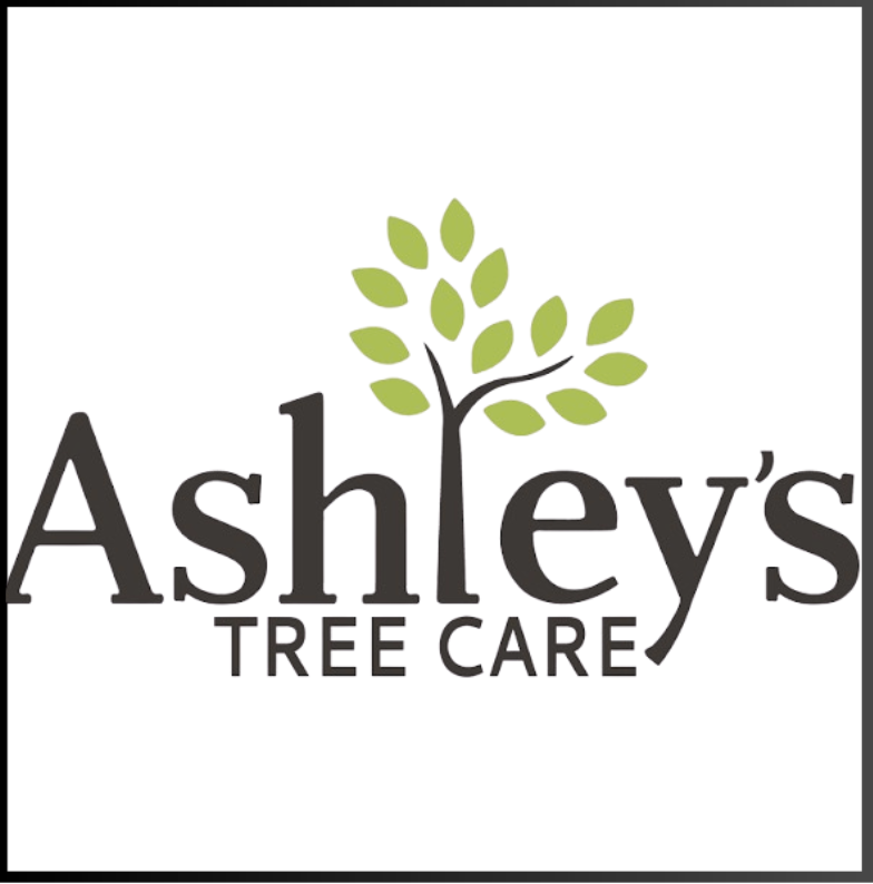 Screenshot 2026-04-09 at 1.45.59 PM.png