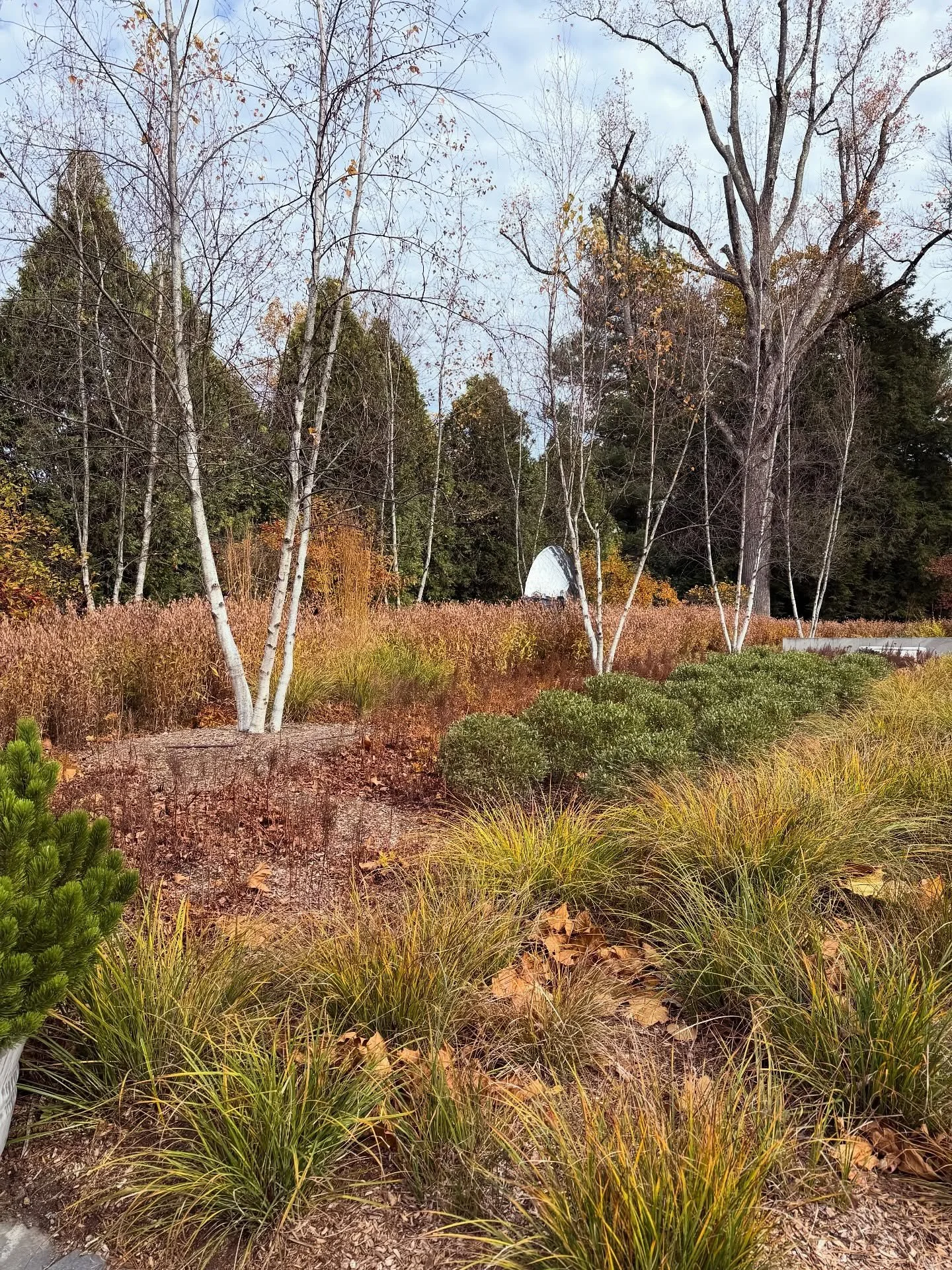 I was able to view this insanely beautiful property today that is filled with natives. The property owner was inspired by @doug_tallamy book, Bringing Nature Home - How you can Sustain Wildlife with Native Plants. It just goes to show that planting w