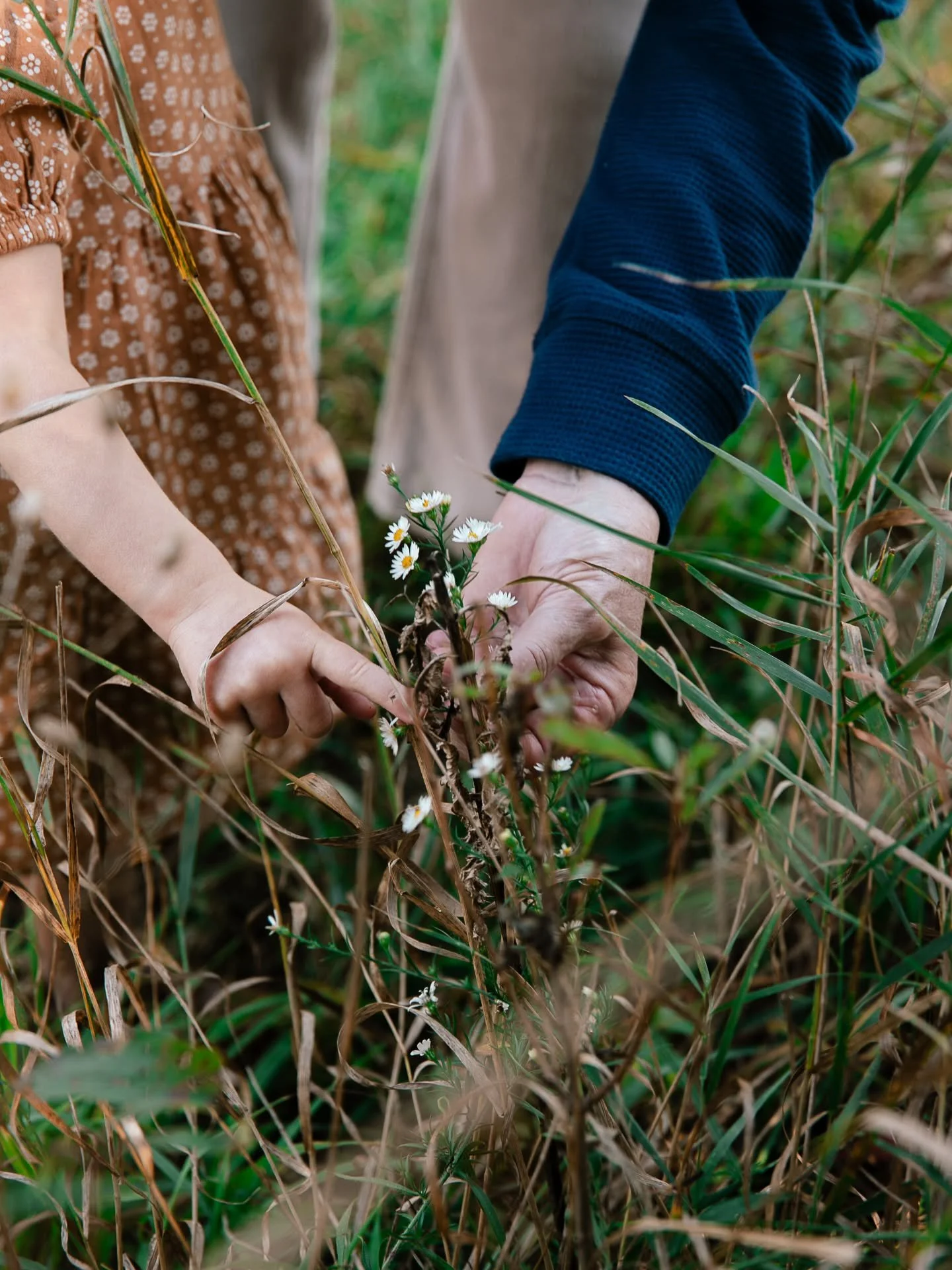 Six family sessions, one senior session, and one at home session will be heading to their happy homes by tomorrow! 
It has been a whirlwind fall season so far, but my turnaround times haven't gone over two weeks so far this year! I'll call that a bi