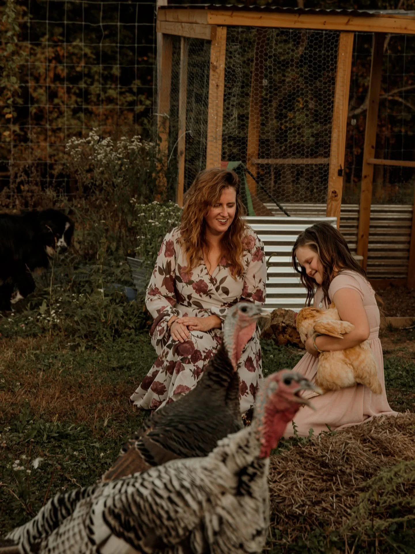 Golden hour makes every small moment a little more magical. β¨οΈ