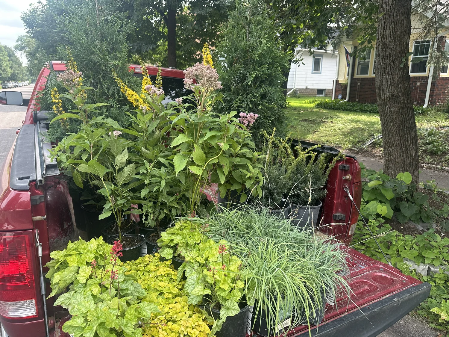 Backyard clearing and excavation during landscape install — Hamline-Midway Saint Paul MN — Heritage Outdoors 2025