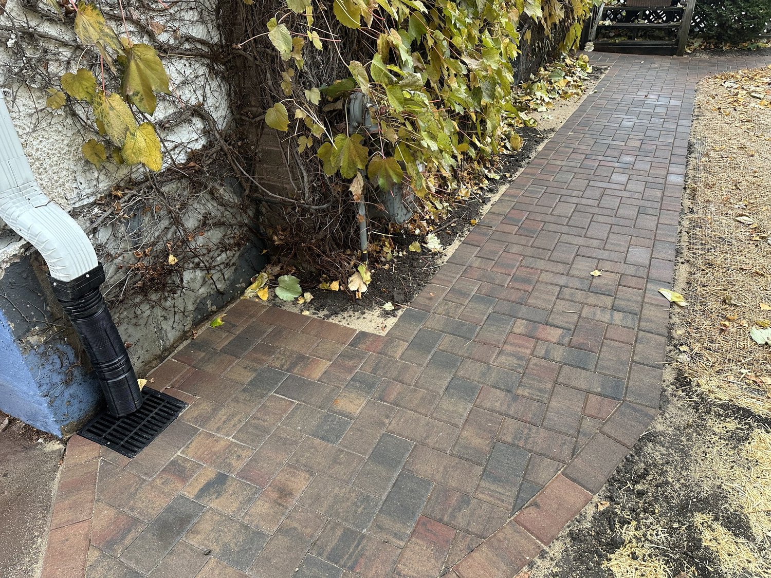 RCP Holland Antique Copper paver detail with buried downspout drain — Como Park Saint Paul — Heritage Outdoors 2025