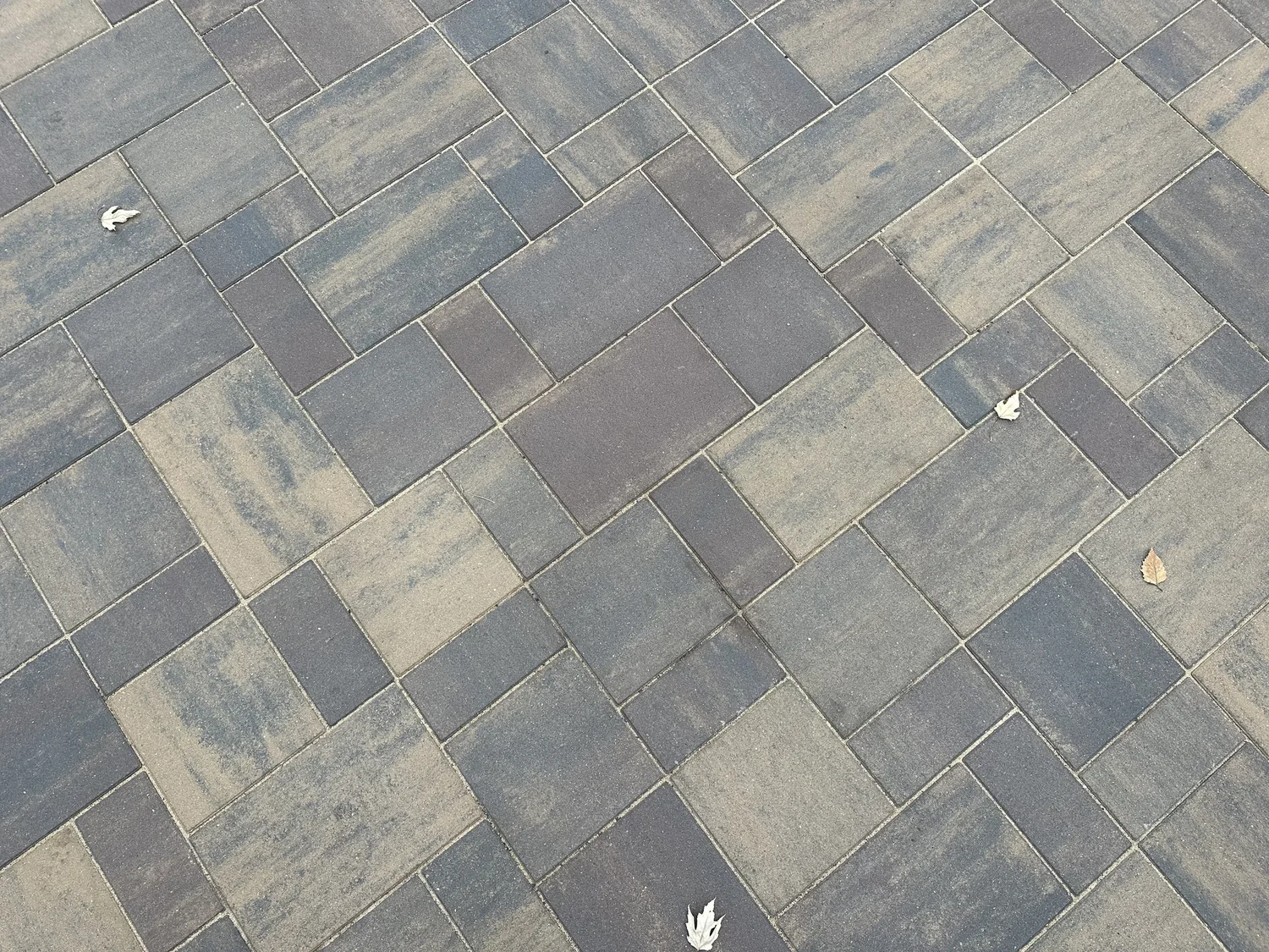 RCP Reno Beachwood and Holland Mocha border detail — Saint Paul MN — Heritage Outdoors 2025