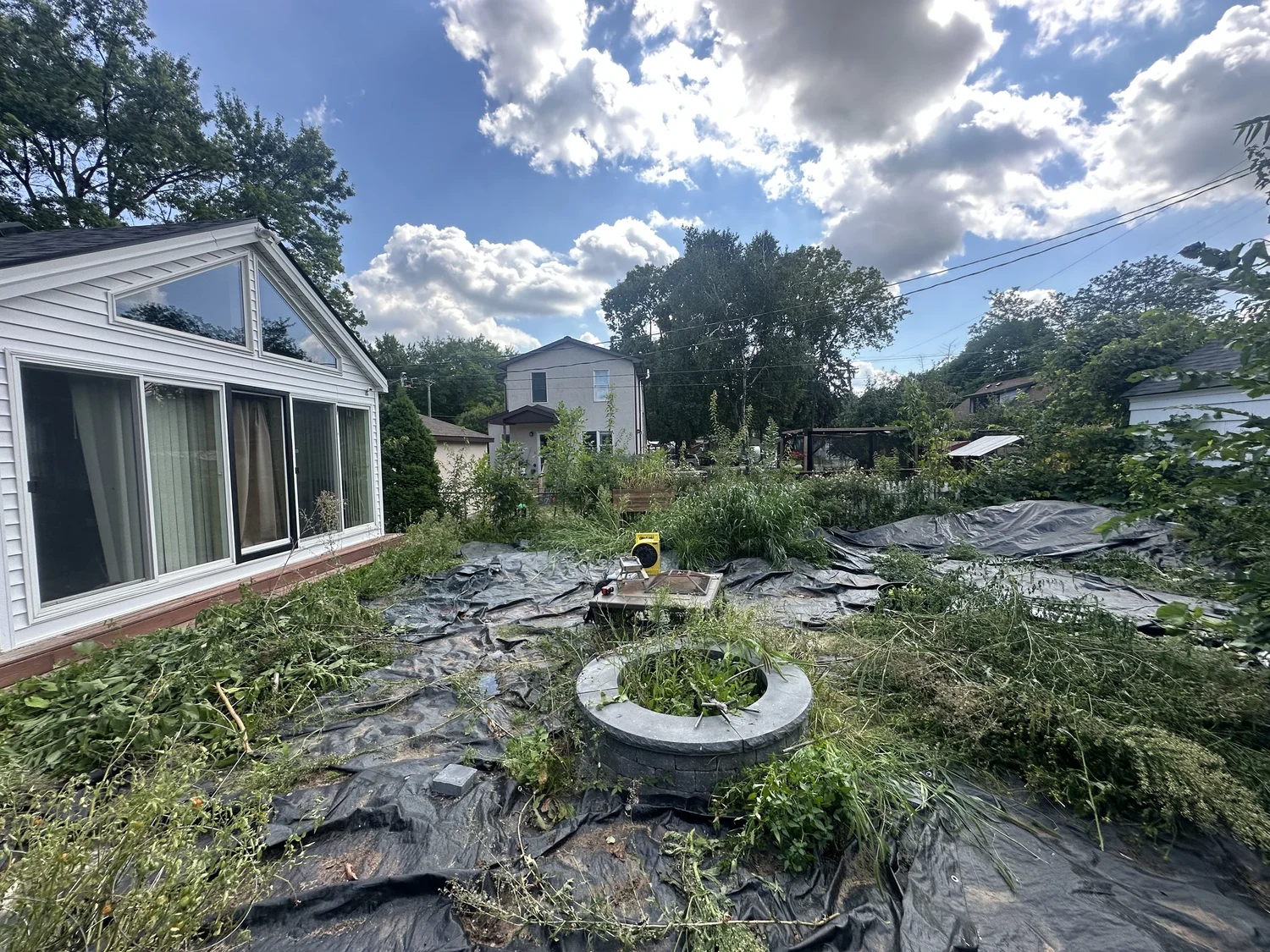 Before — backyard weeds with fire pit ring visible, Como Park Saint Paul — Heritage Outdoors