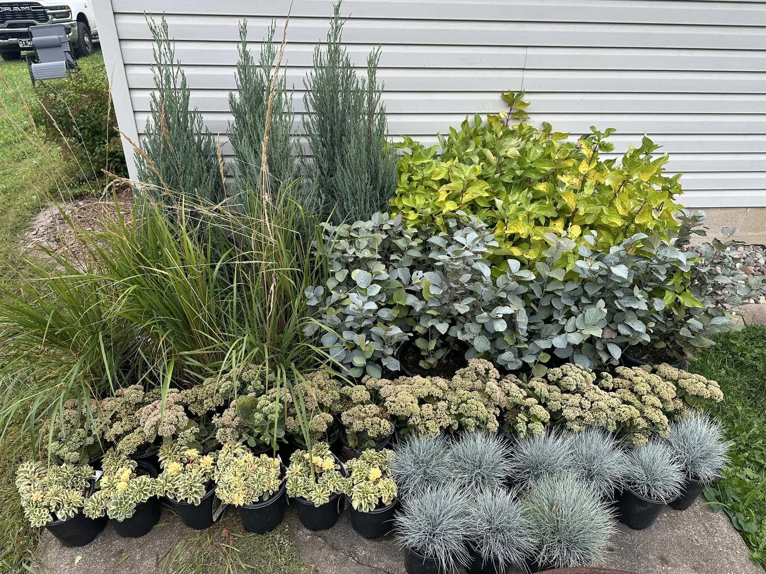 Low-pollen plant selection for allergy-friendly garden — Como Park Saint Paul — Heritage Outdoors 2025