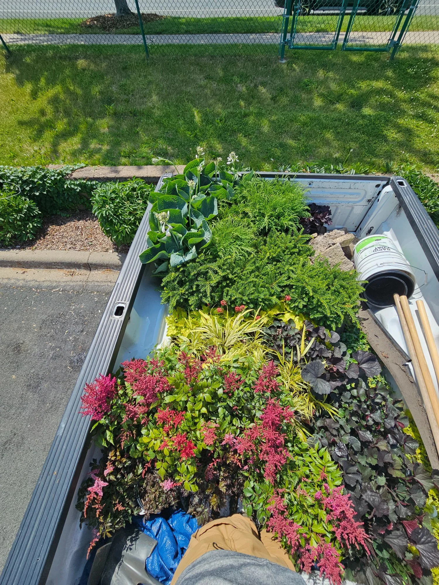 During — truck bed full of mixed perennials for planting — Heritage Outdoors 2023