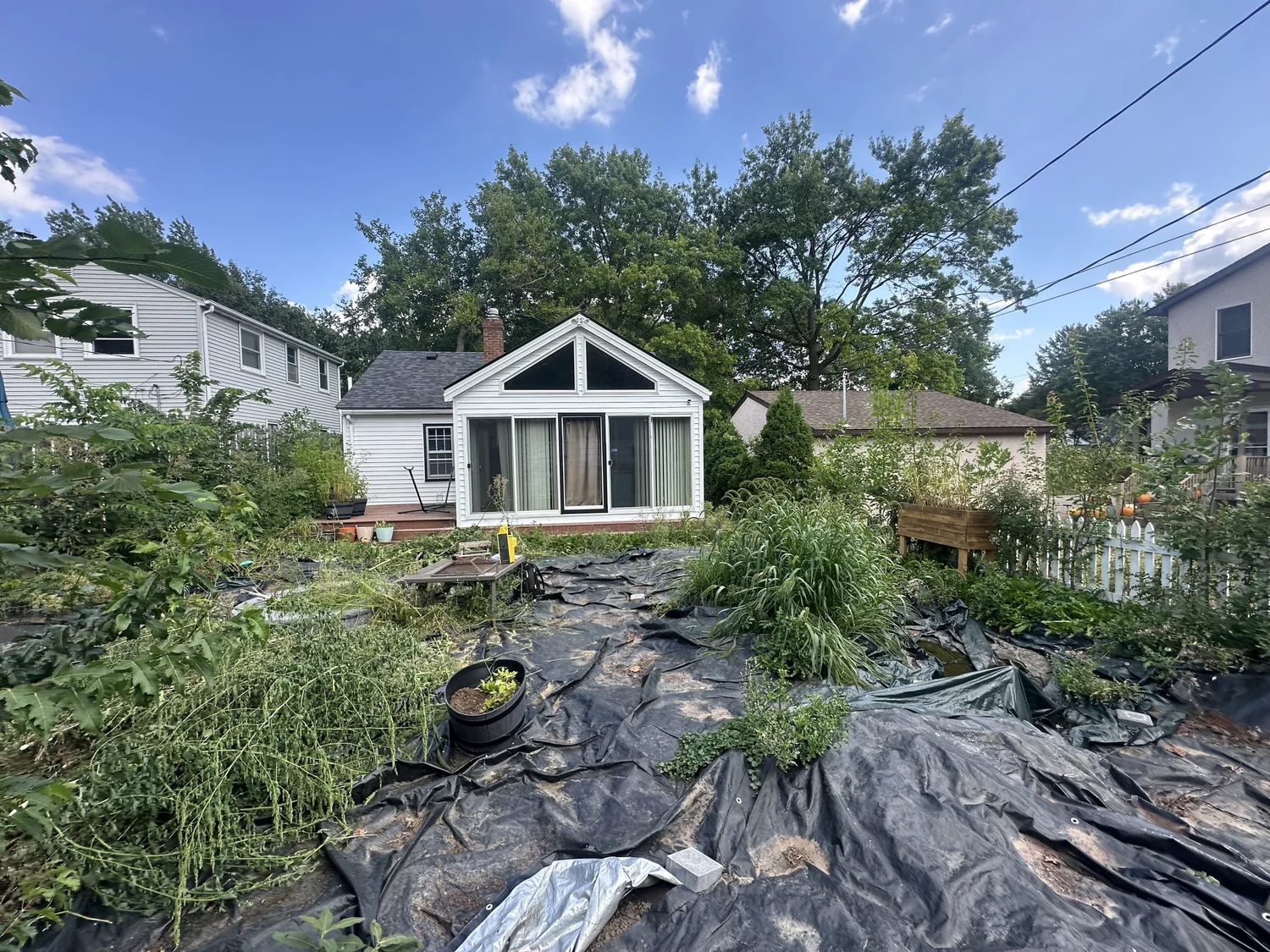 Before — full view of jungle backyard, Como Park Saint Paul — Heritage Outdoors