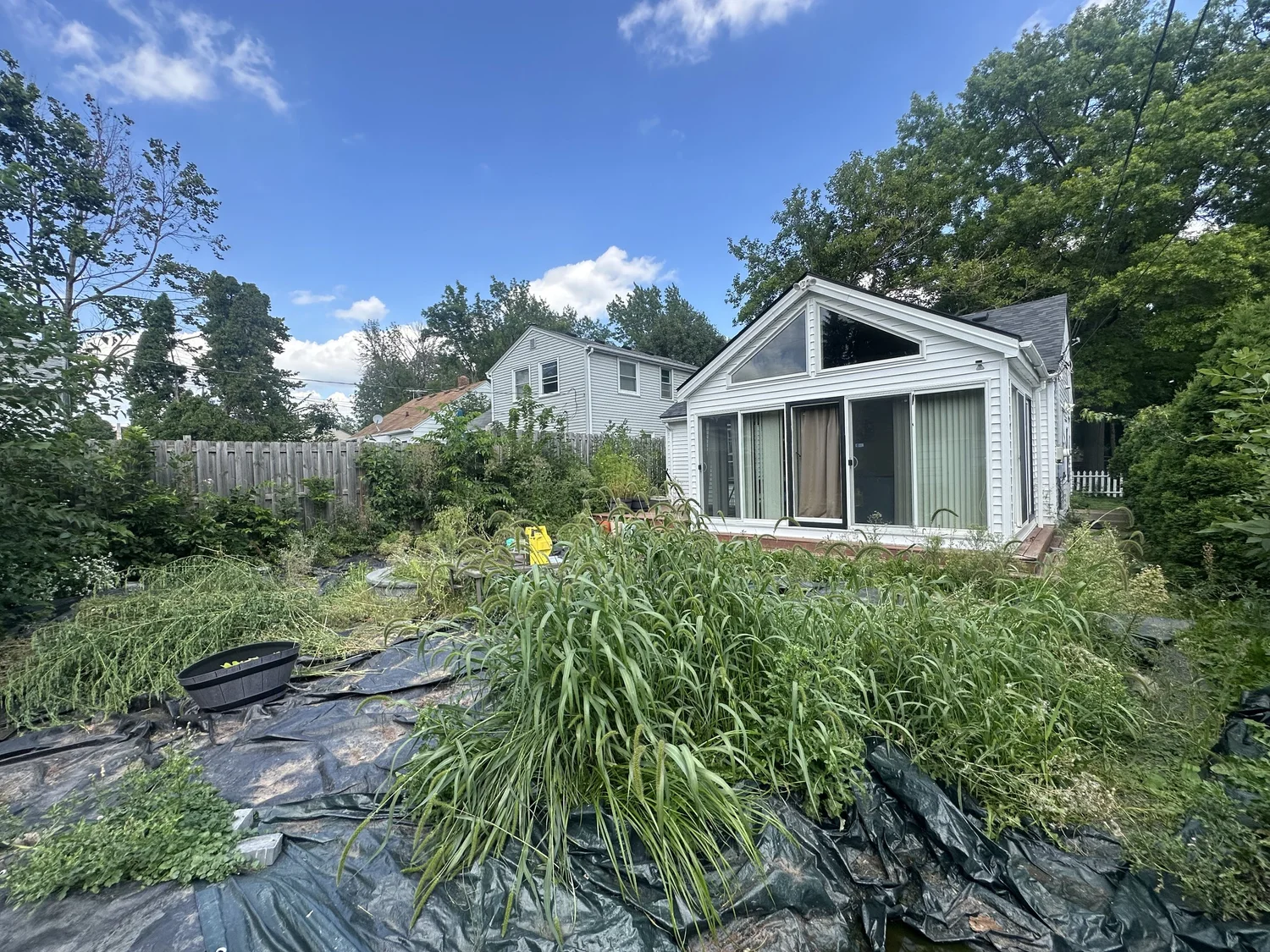 Before — jungle backyard from sunroom view, Como Park Saint Paul — Heritage Outdoors
