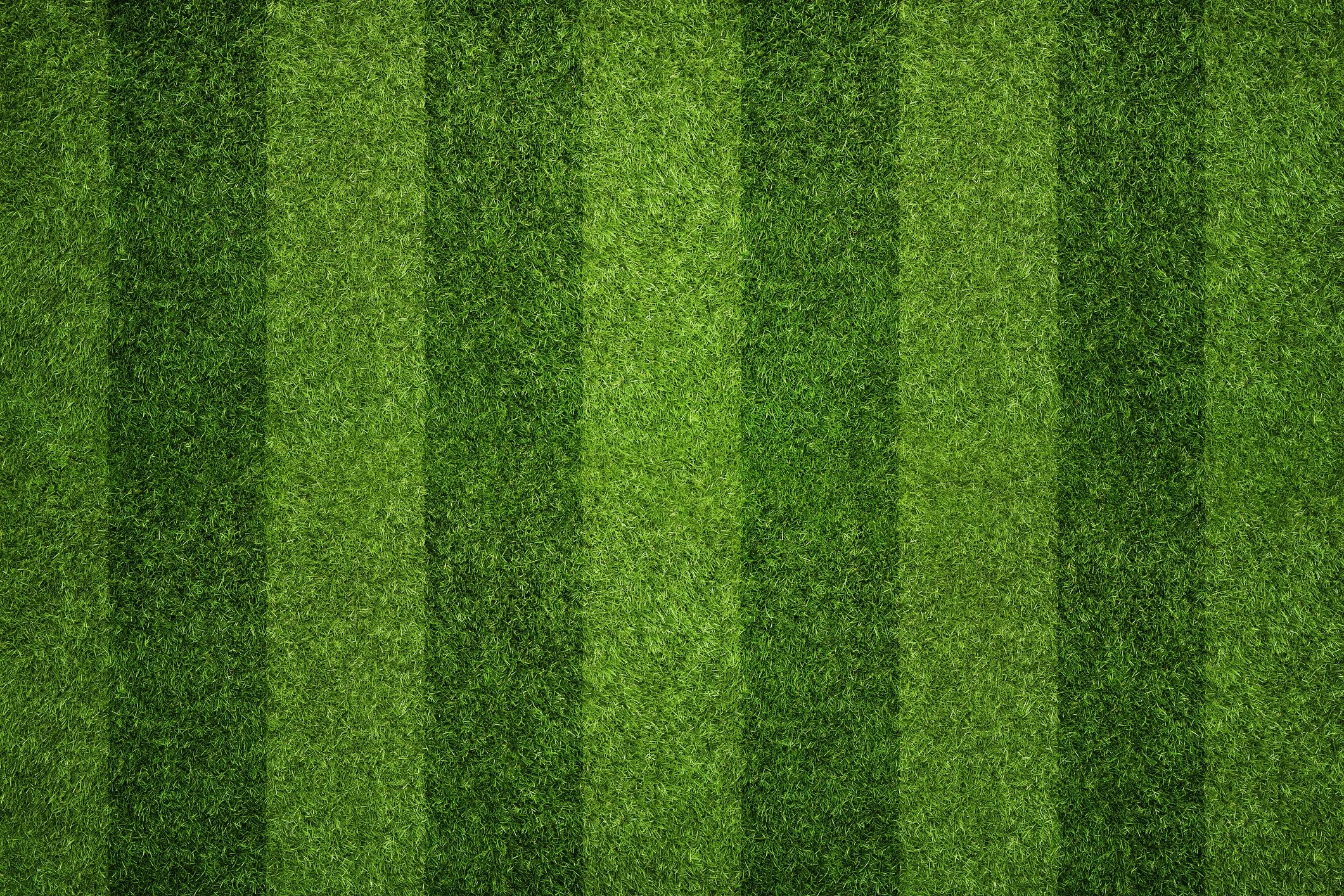 Close-up view of a lush green grass field with parallel mowing lines.