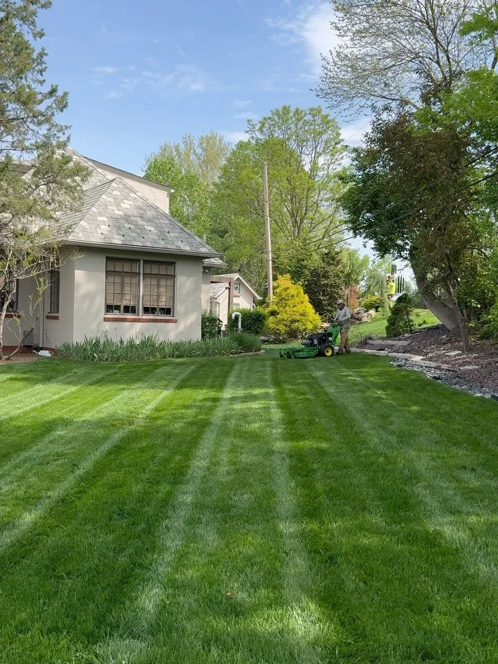 Another day, another lawn mowed. 

#landscaping #grass #spring #lawncare