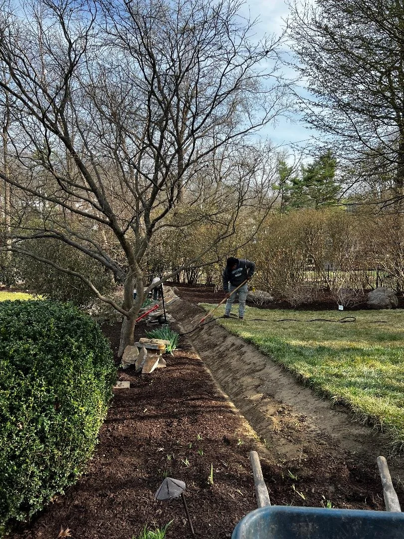 Workers landscaping in a backyard, planting or preparing flower beds next to a tree and a hedge, with gardening tools and a wheelbarrow in the yard.