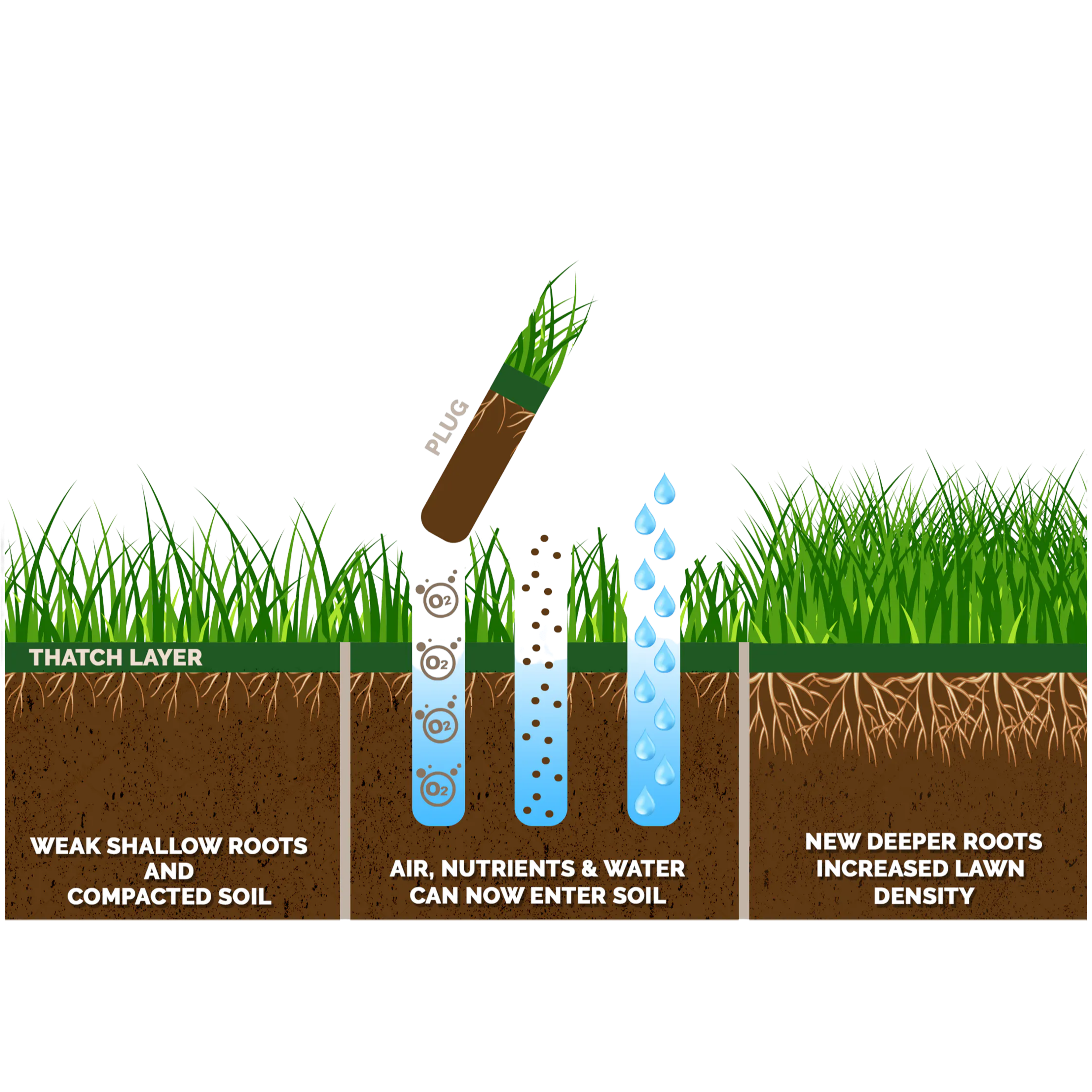 Diagram of soil layers showing that mulch covers the soil, which has a Thatch Layer, then weak shallow roots and compacted soil. Soil is entered by air, nutrients, and water, which create deeper roots and increased lawn density.