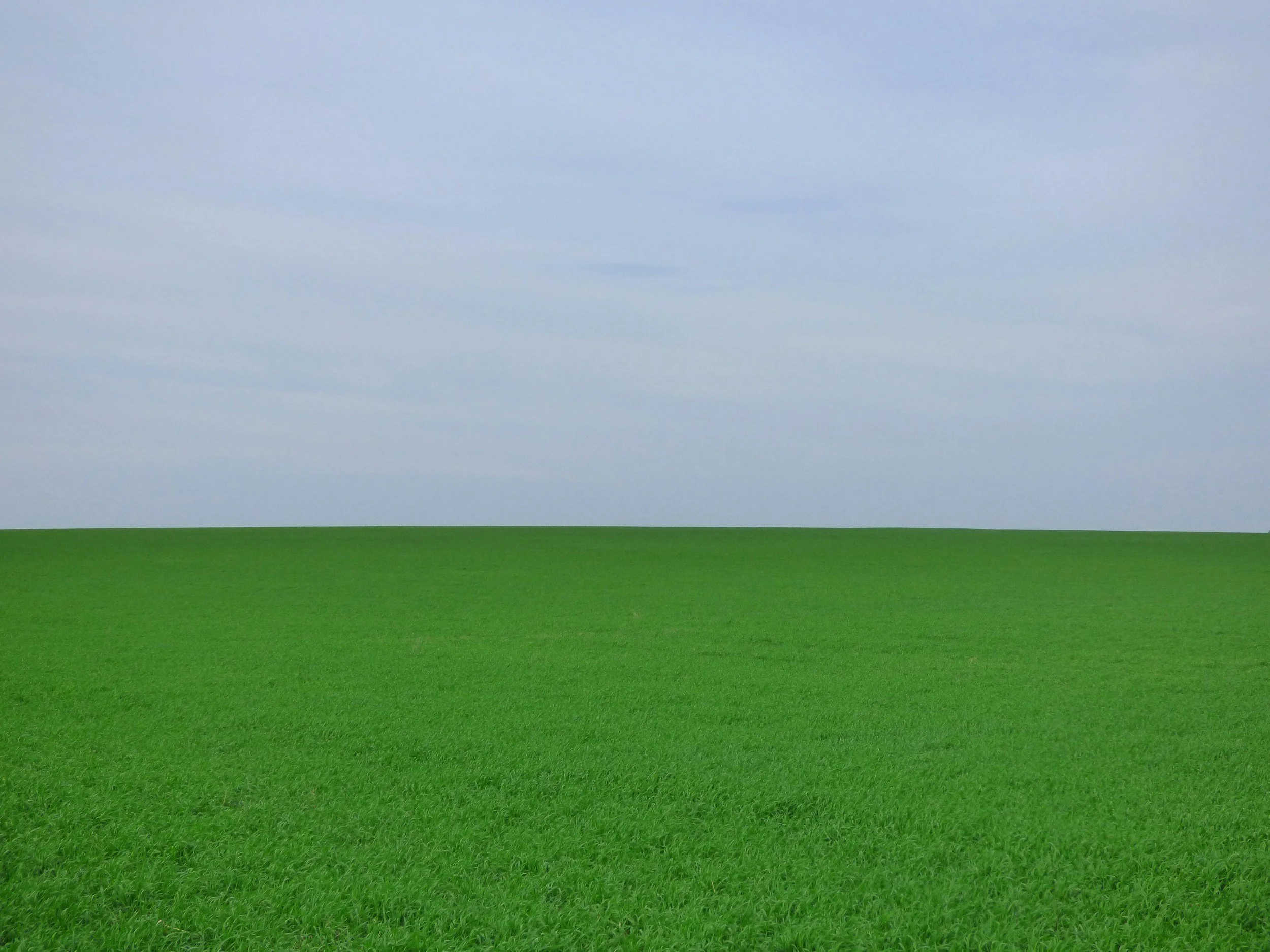Grass is Greener