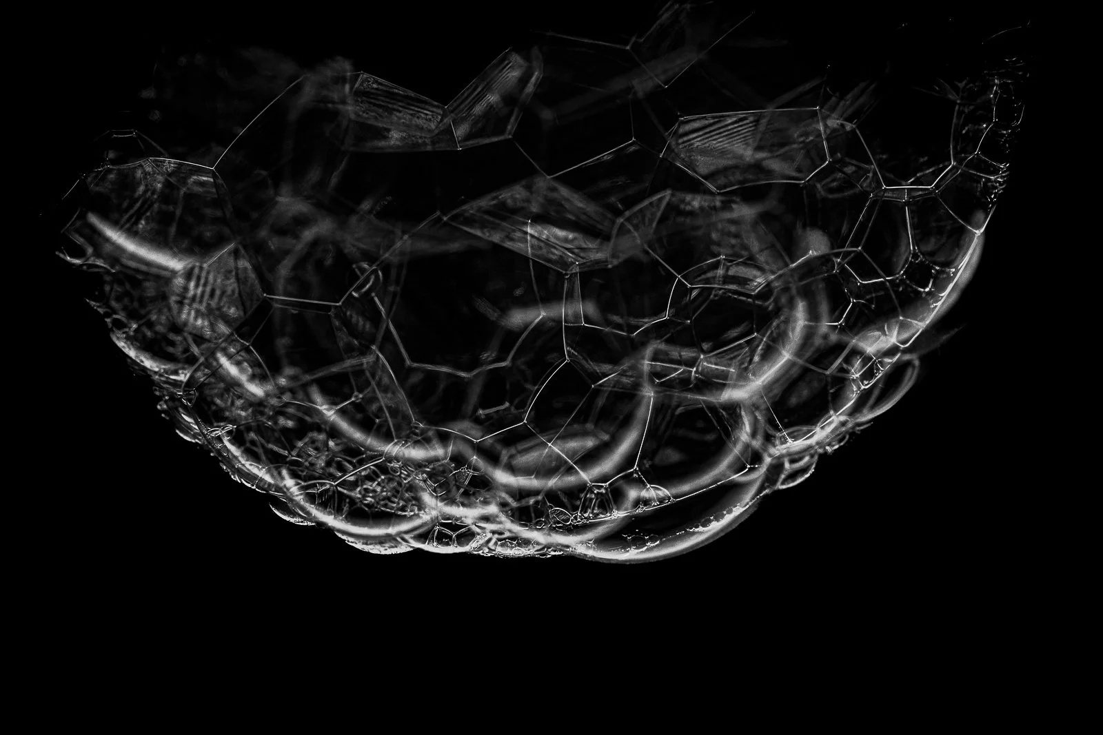 Bubble Art - Dawn Taylor