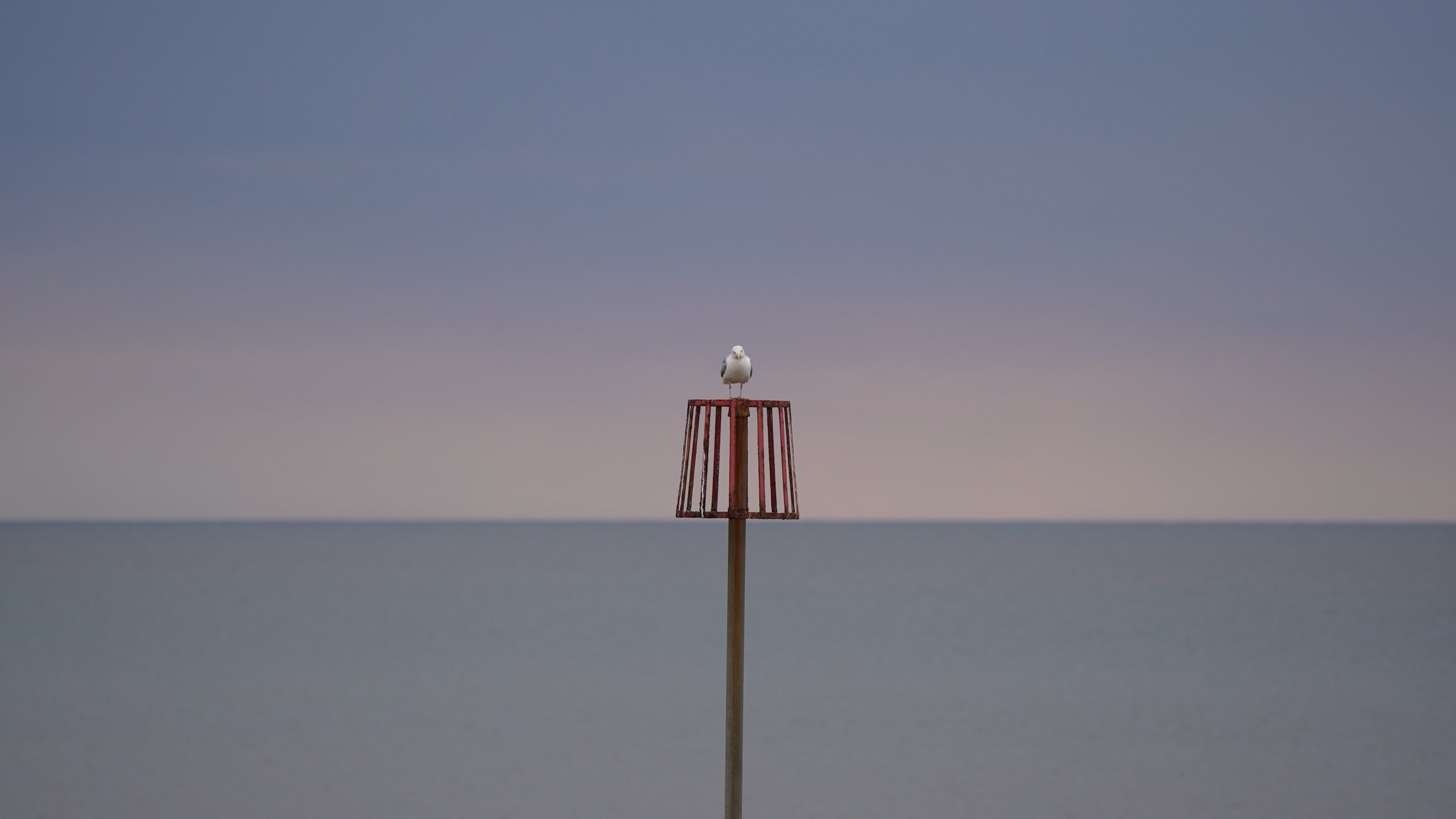 Natural World :
Watching You Watching Me - Mark Corns