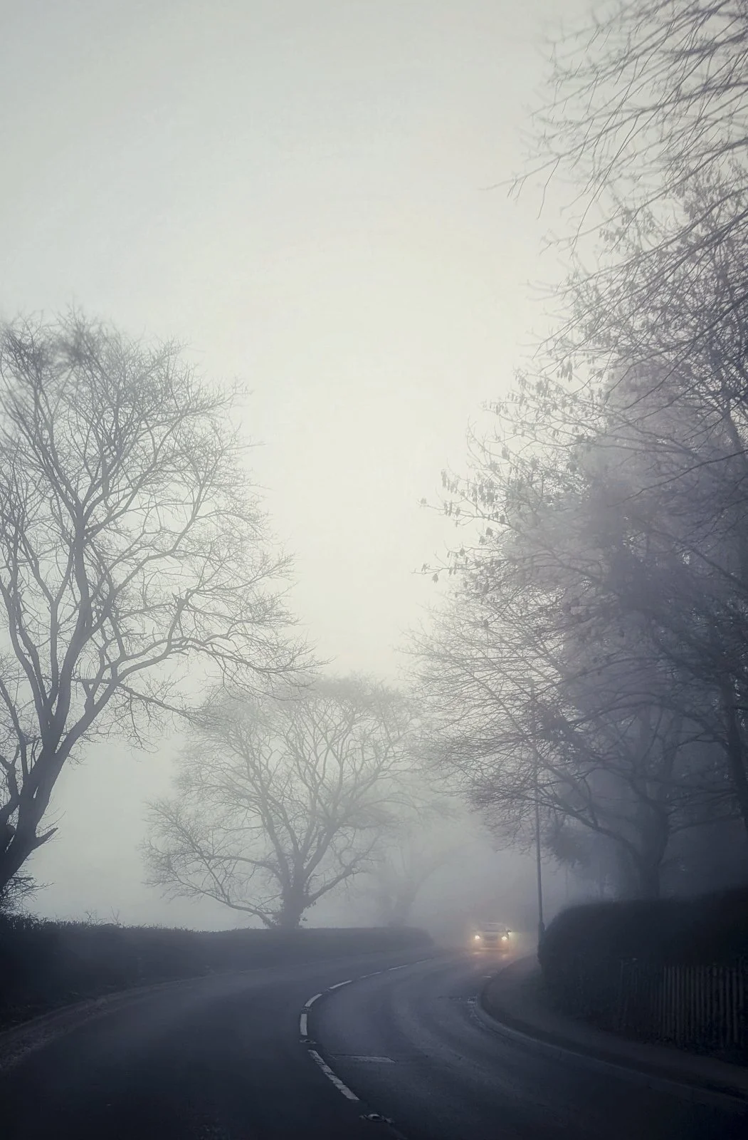 Misty Lane - Ruth Carnegie