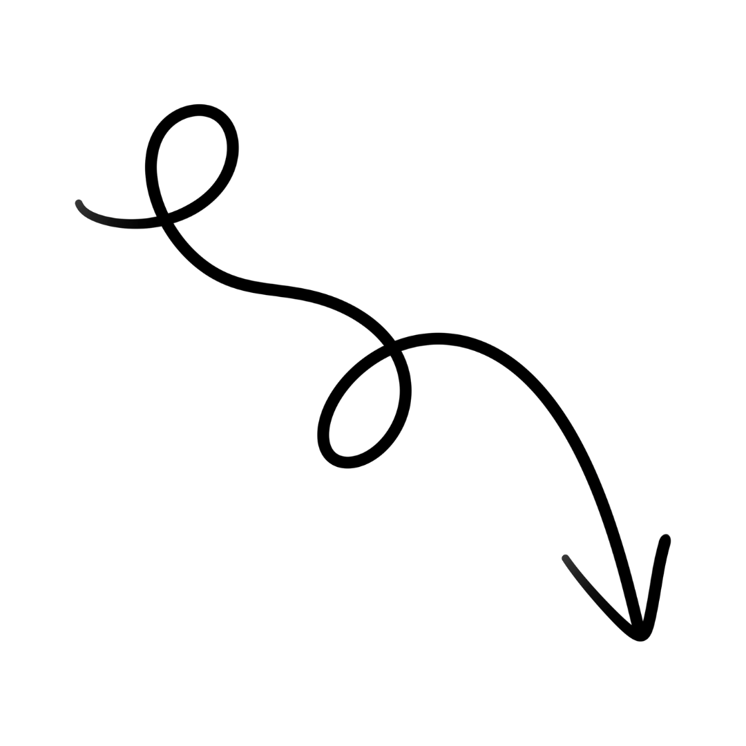 Outline of a cat sitting with a long tail curled behind it.