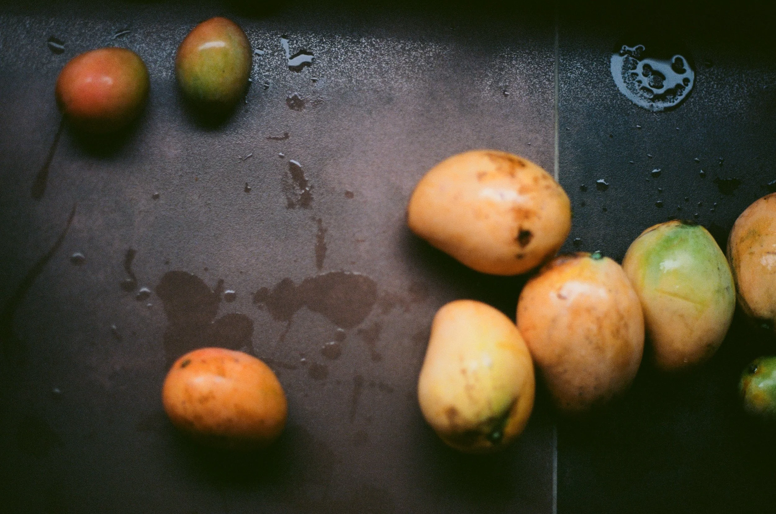 Pommes de terre et pommes sur une surface noire humide.