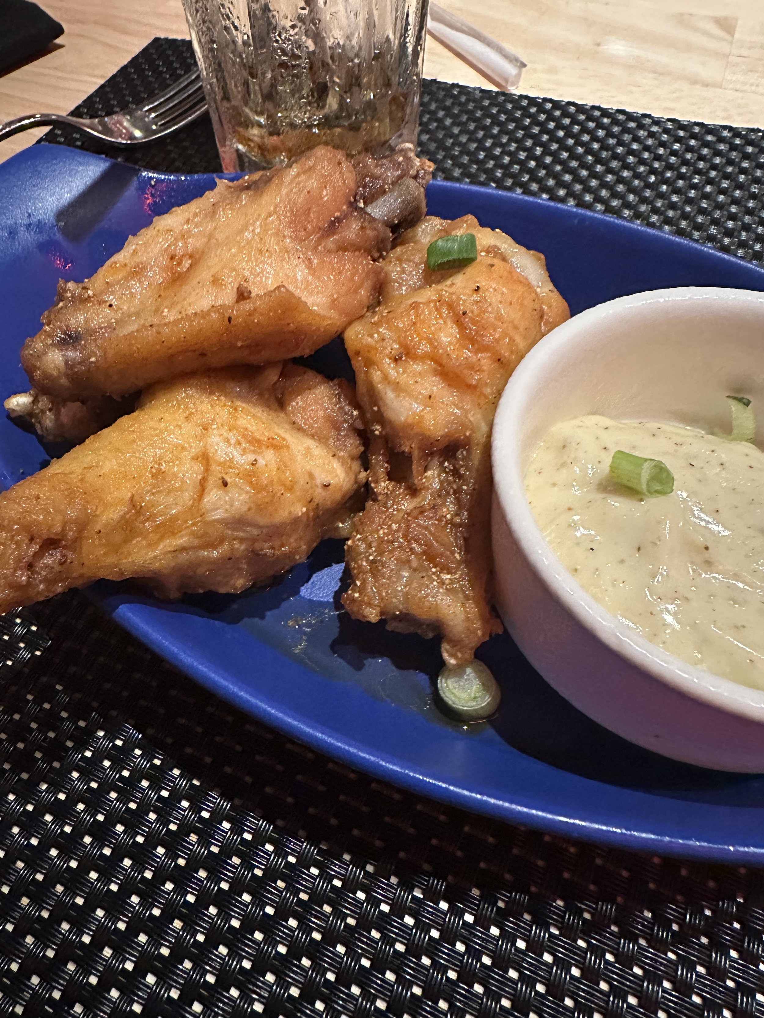 VVDay1Wings.jpeg