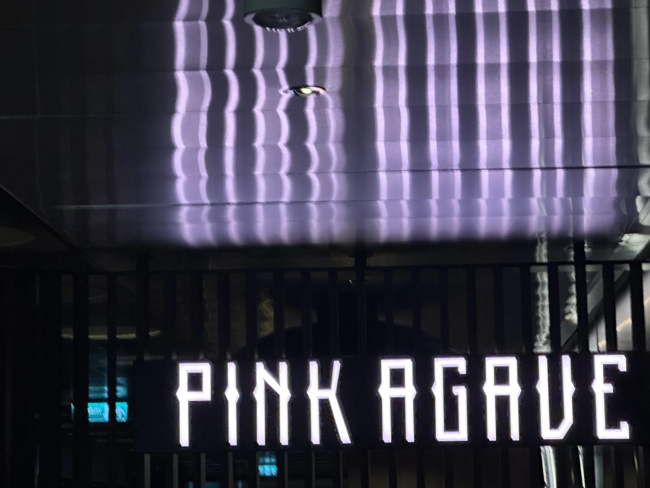 VVDay5PinkAgave1.jpeg